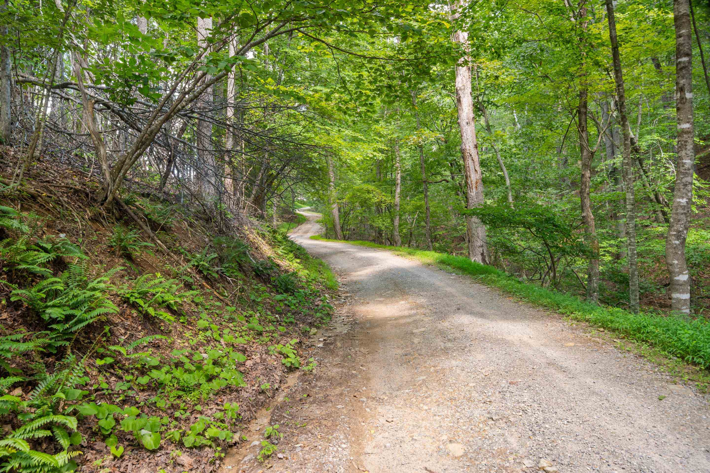 4681 Fishers View Road Pilot VA 24138