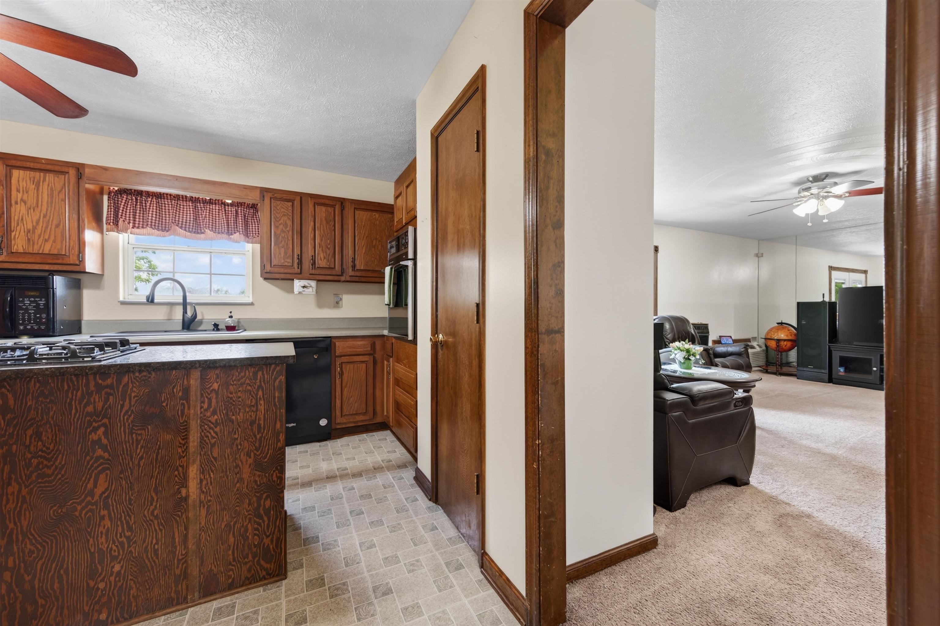 4670 Shadetree Lane Dublin VA 24084
