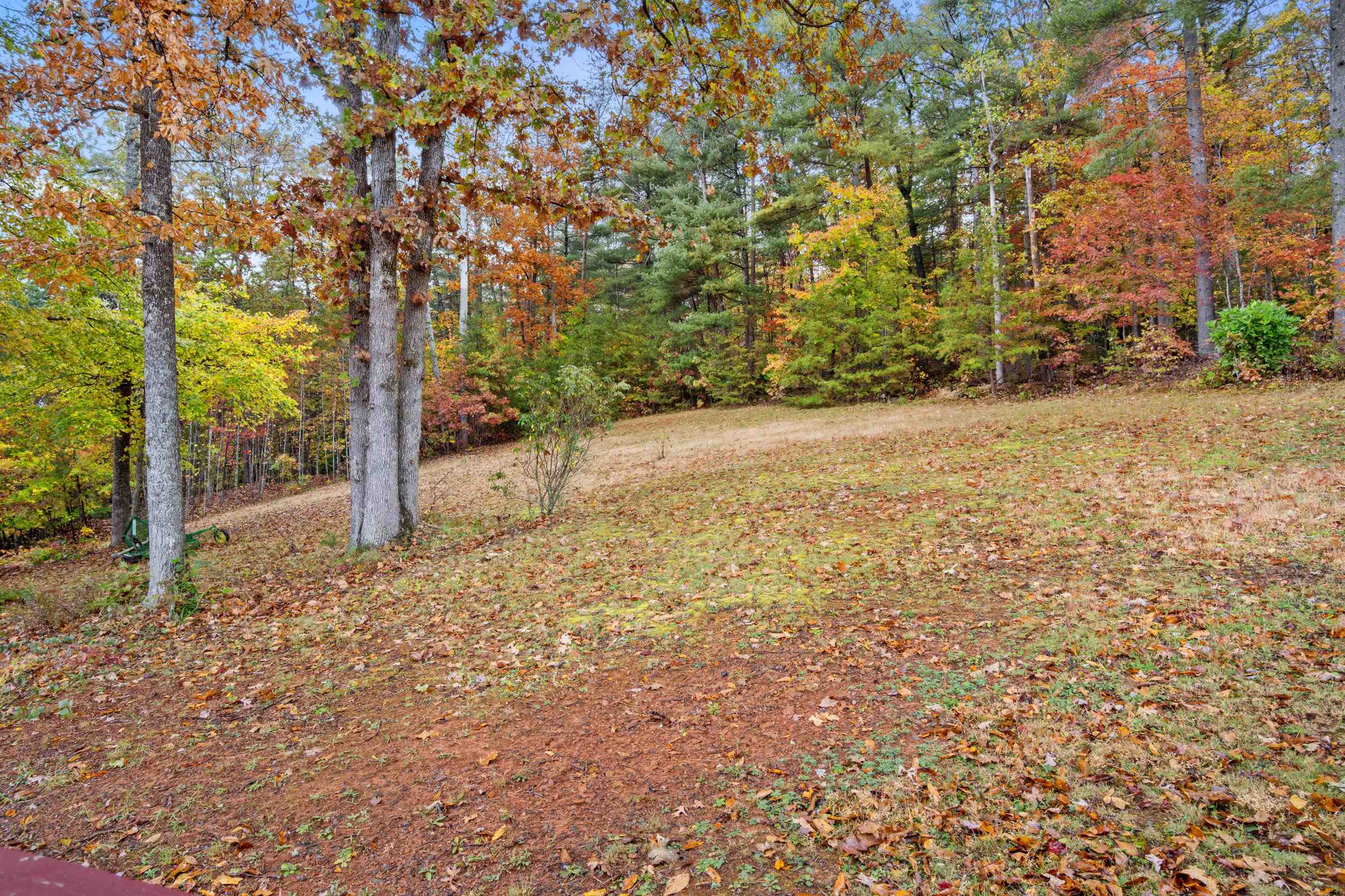 226 Hickory Ridge Lane Lane Woolwine VA 24185