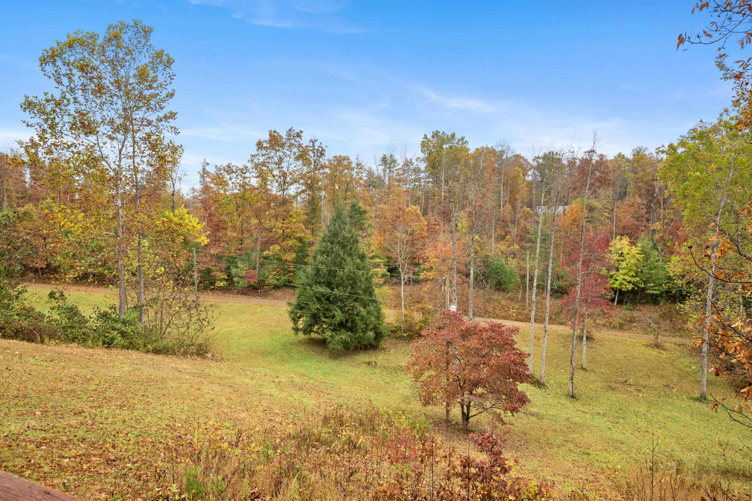 226 Hickory Ridge Lane Lane Woolwine VA 24185