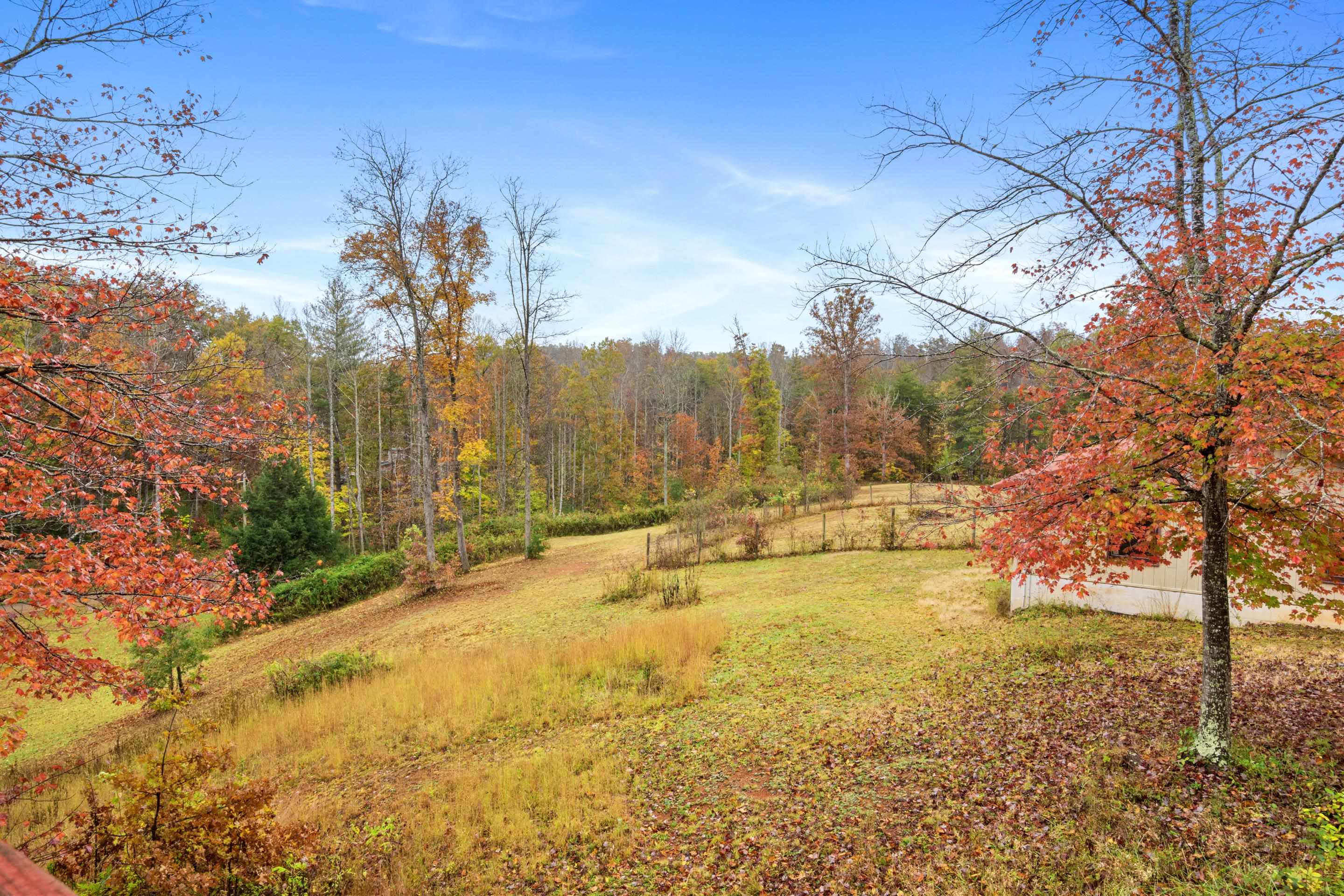 226 Hickory Ridge Lane Lane Woolwine VA 24185