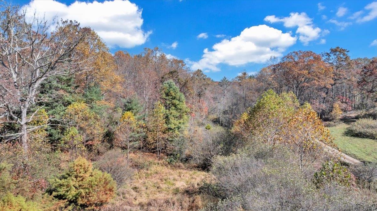 1533 Groundhog Mountain Road Hillsville VA 24343