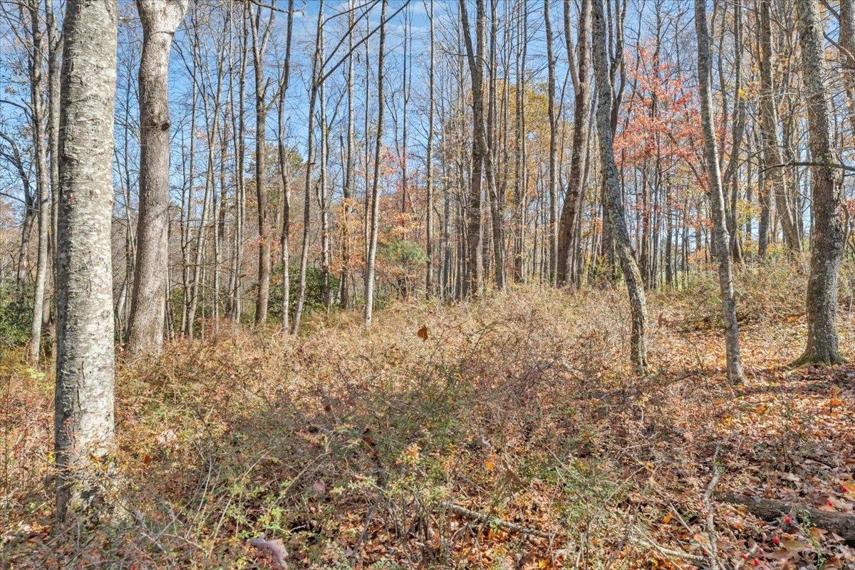 1533 Groundhog Mountain Road Hillsville VA 24343