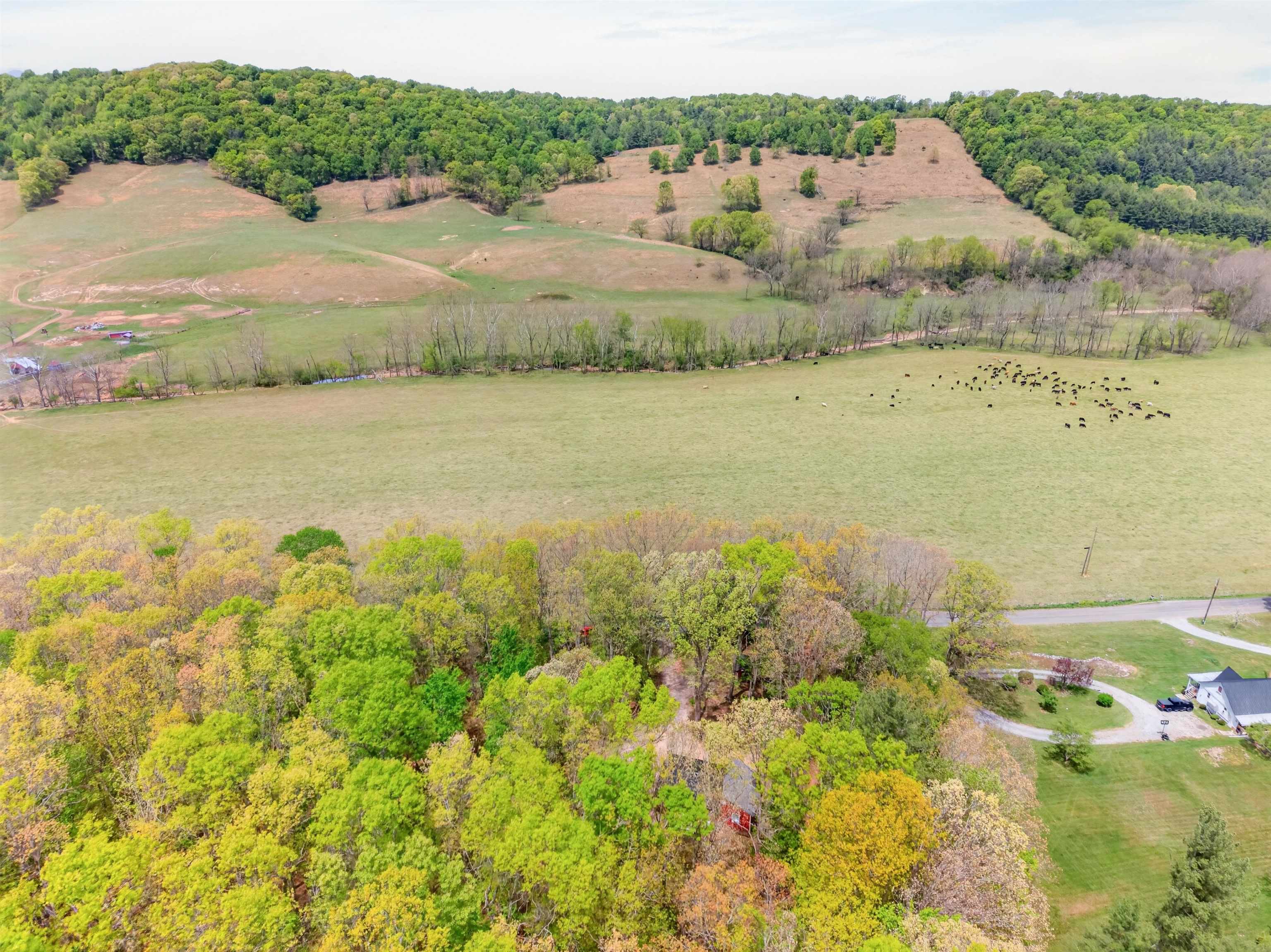 2531 Dry Road Speedwell VA 24374