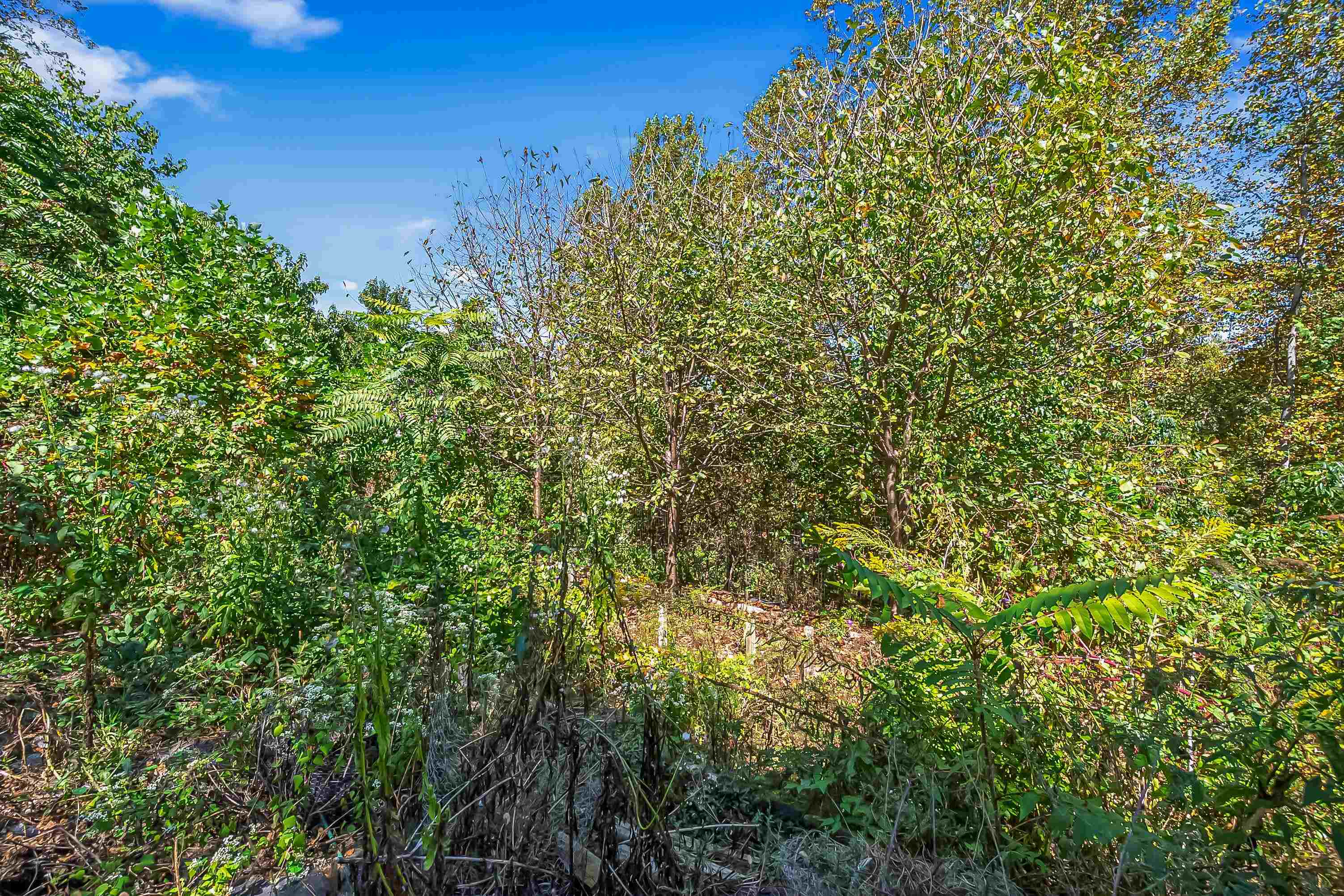 20 Woodridge Drive Christiansburg VA 24073