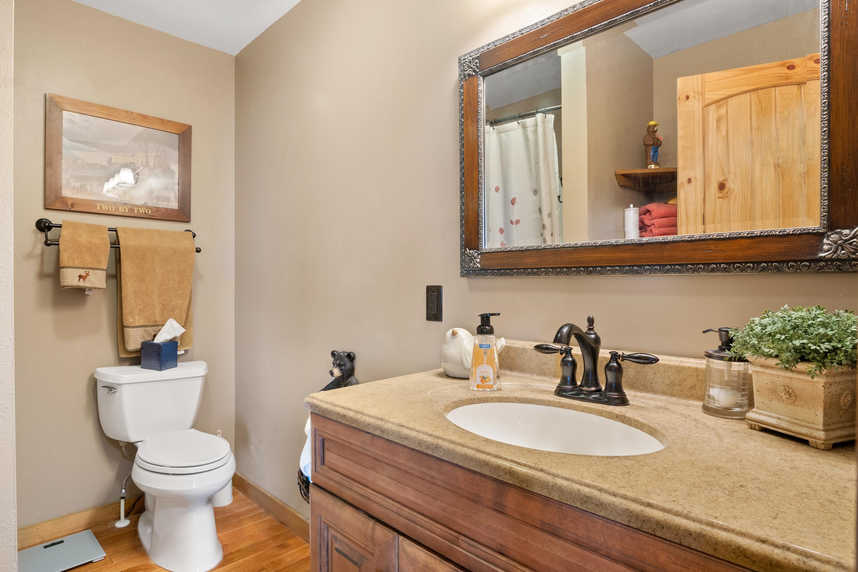 316 Reflections Point Trail Fancy Gap VA 24328