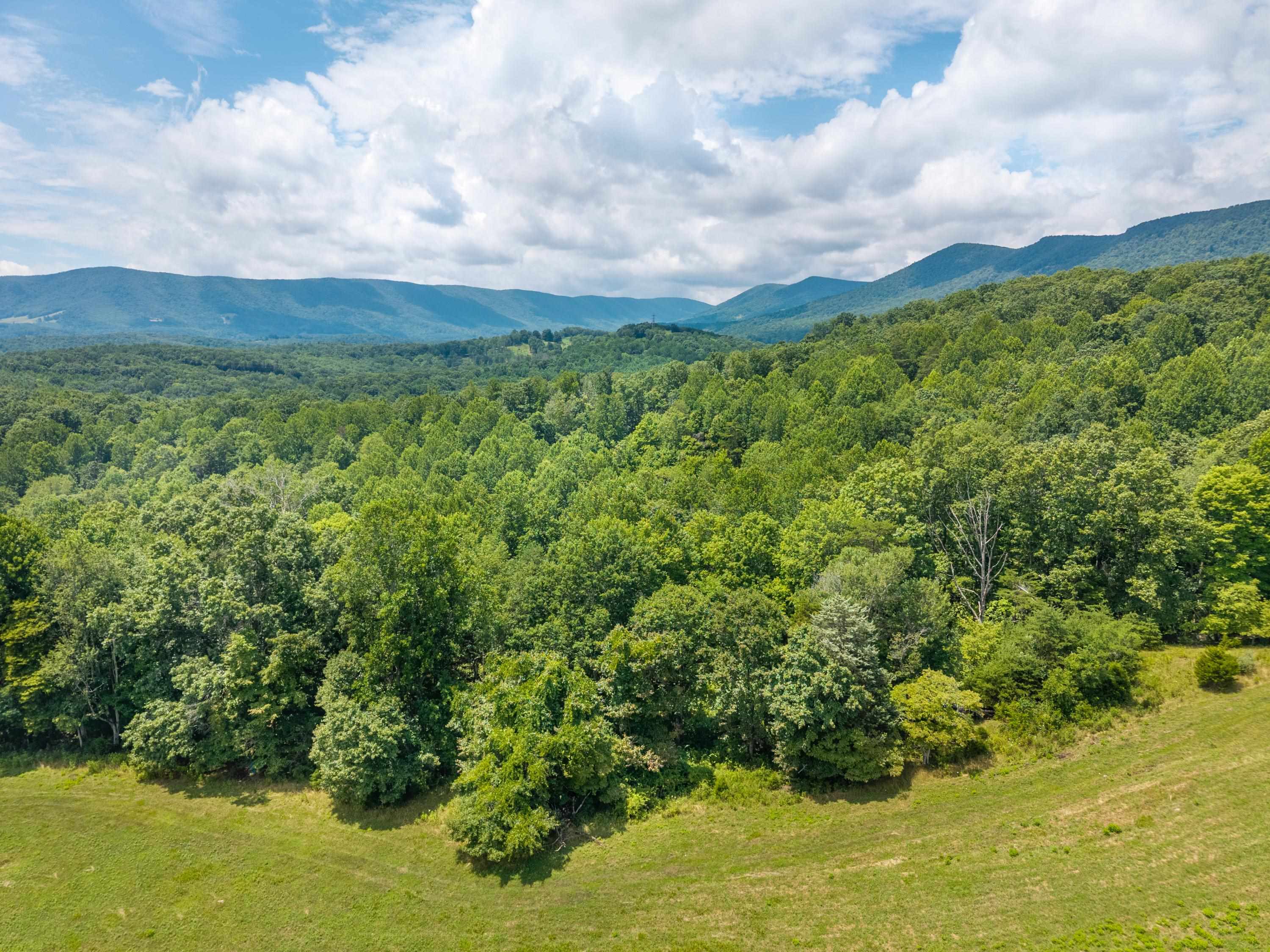 628 Wilburn Valley Road Pearisburg VA 24134