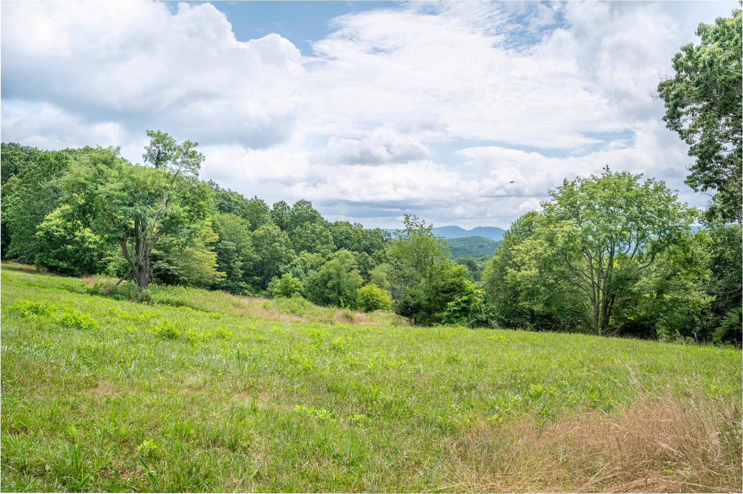 628 Wilburn Valley Road Pearisburg VA 24134