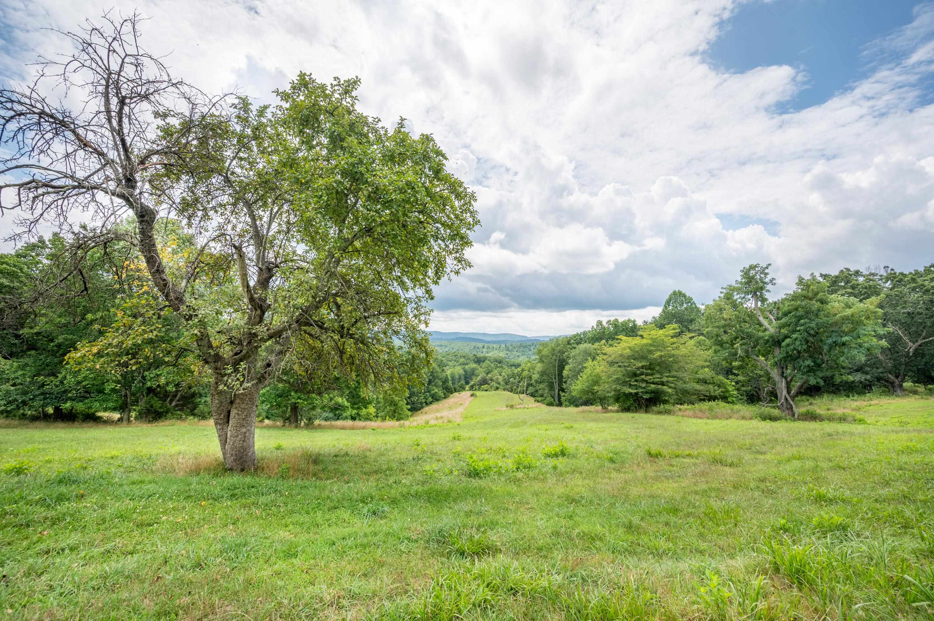 628 Wilburn Valley Road Pearisburg VA 24134