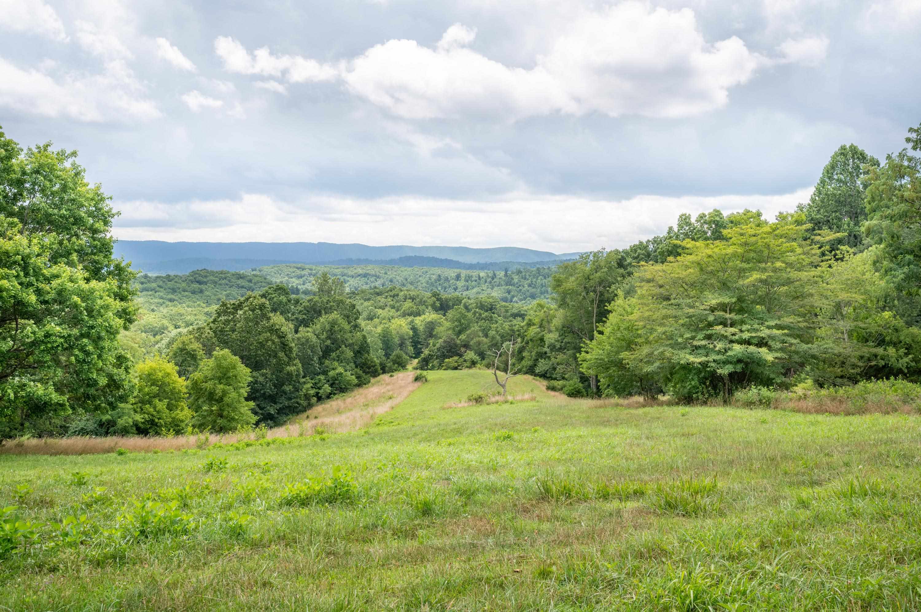 628 Wilburn Valley Road Pearisburg VA 24134