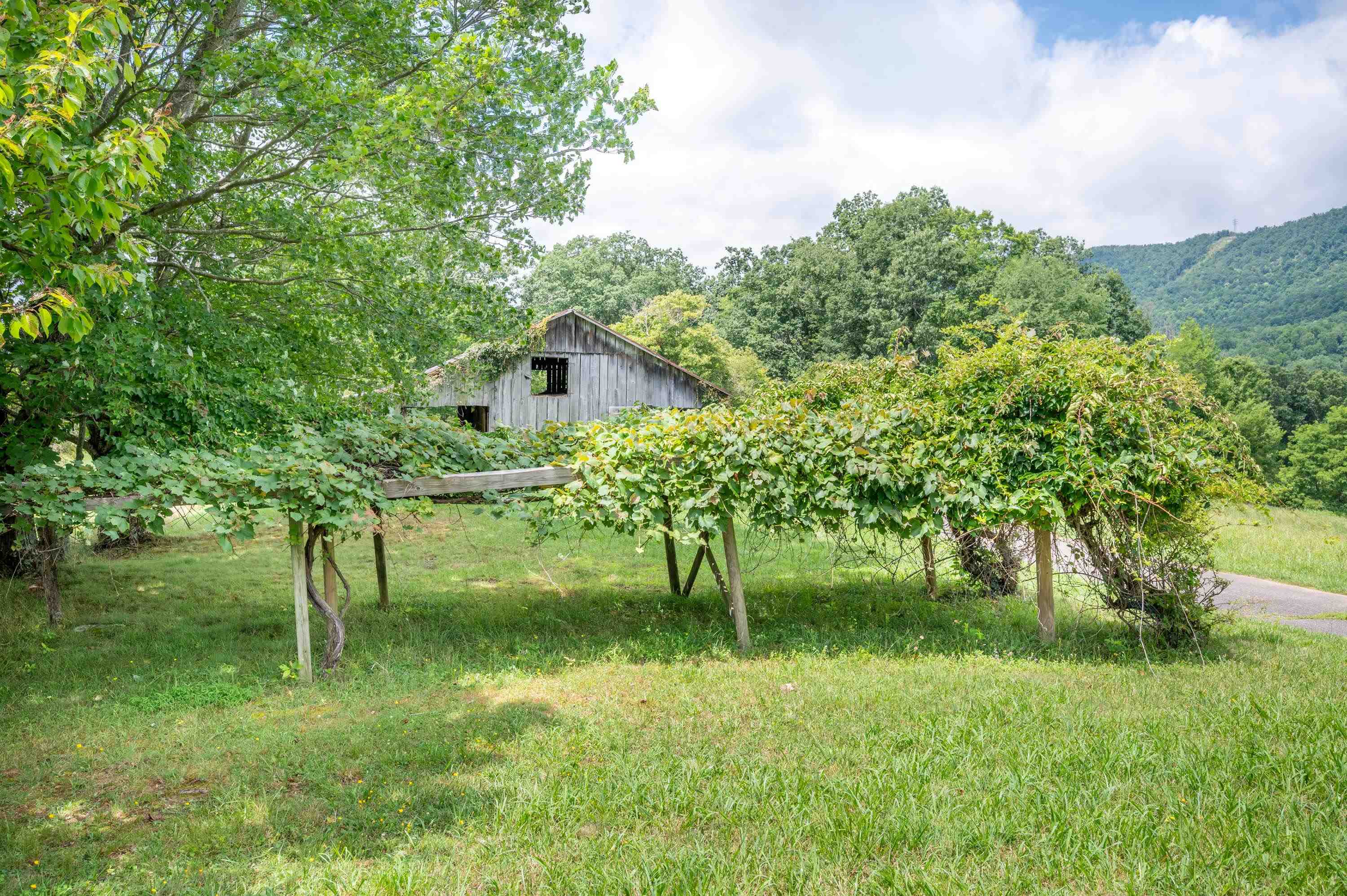 628 Wilburn Valley Road Pearisburg VA 24134
