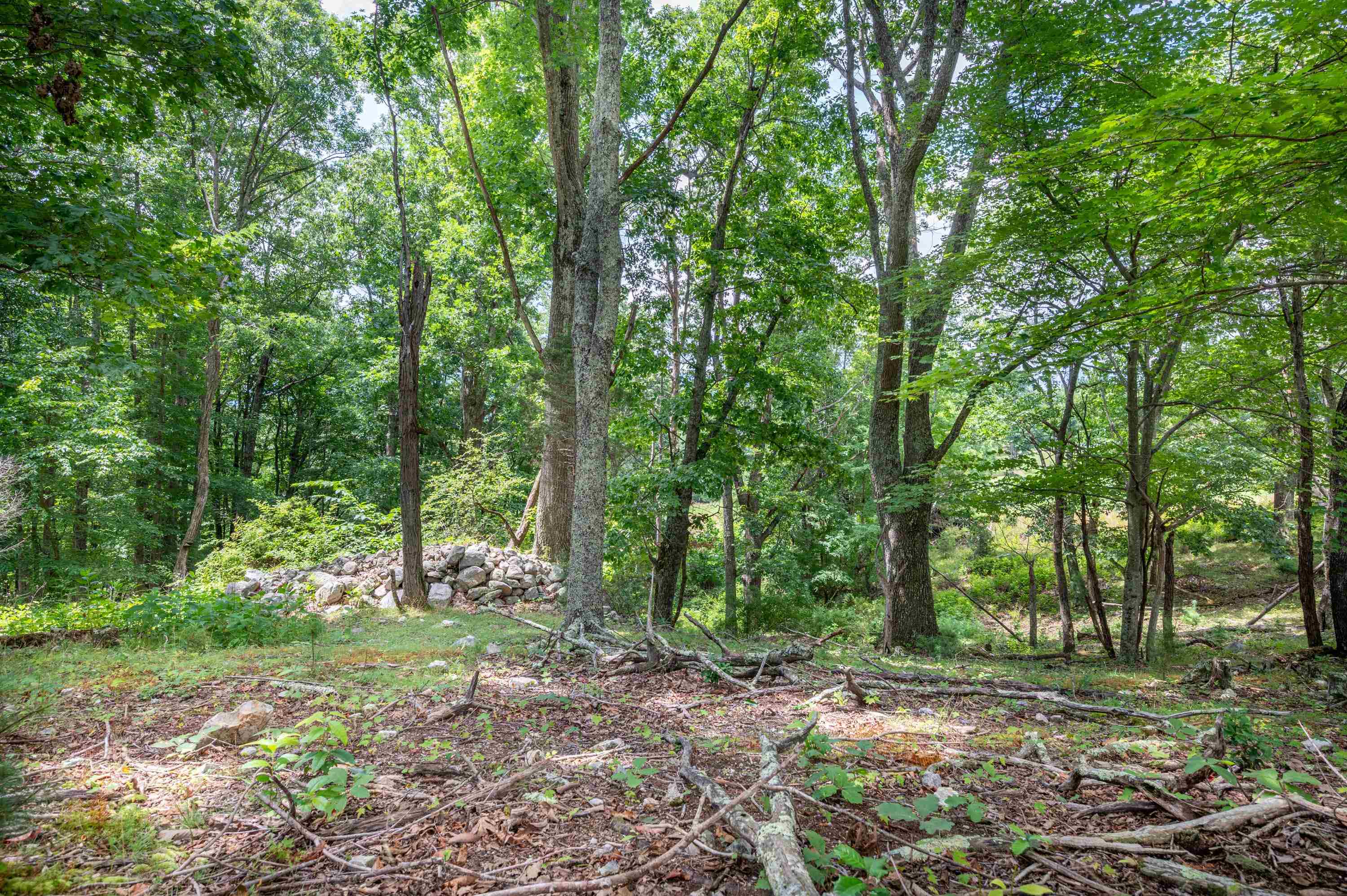 628 Wilburn Valley Road Pearisburg VA 24134