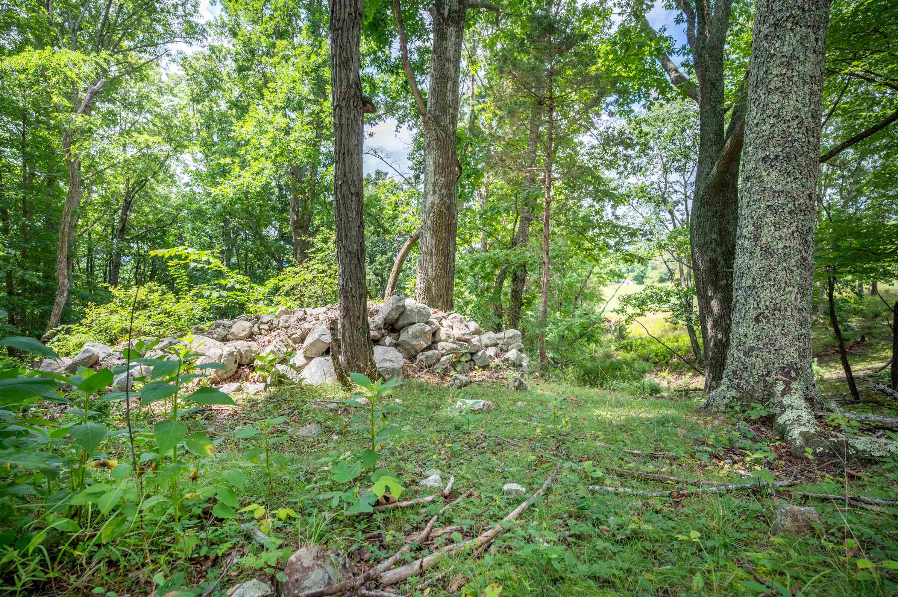 628 Wilburn Valley Road Pearisburg VA 24134