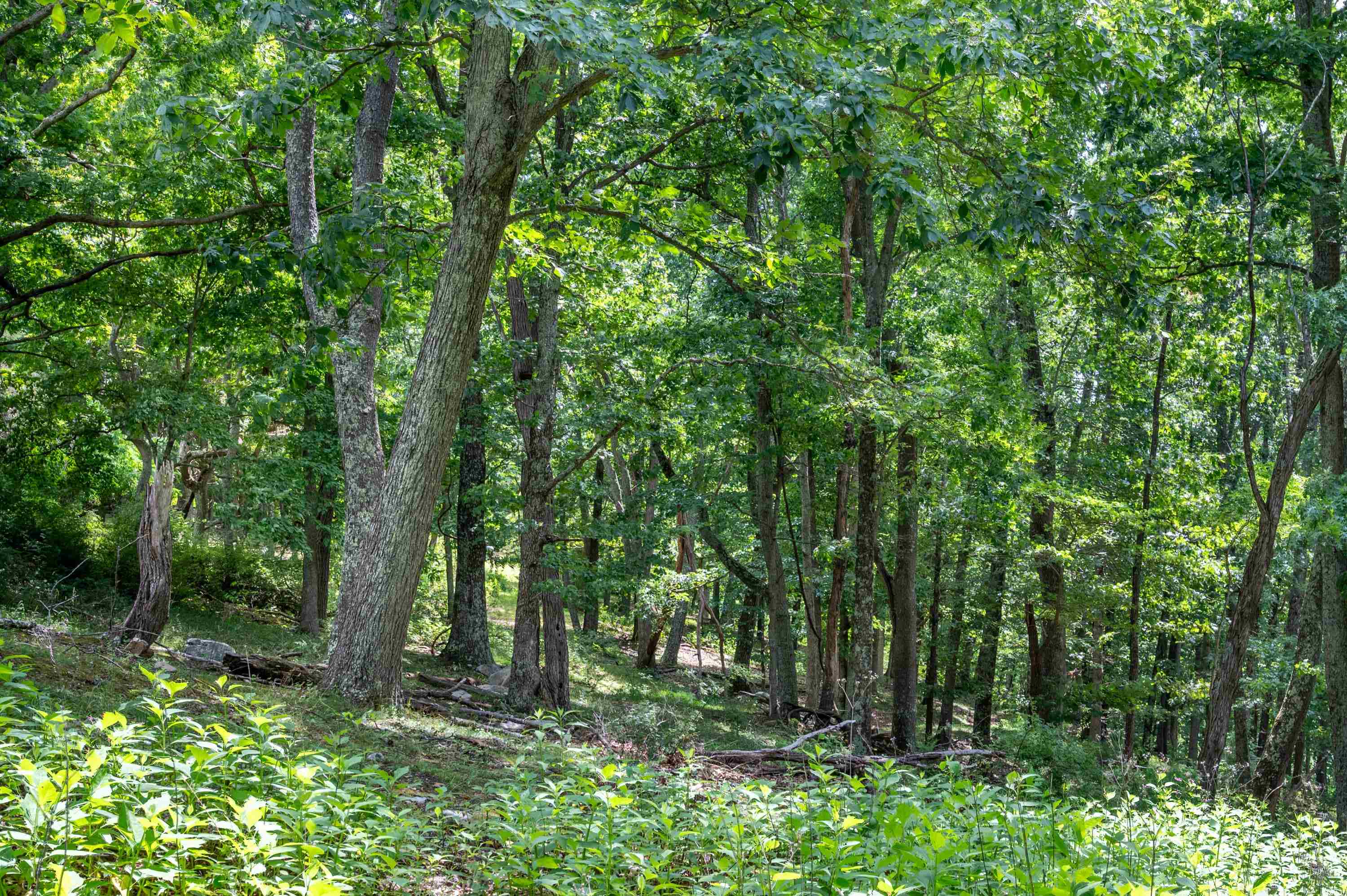 628 Wilburn Valley Road Pearisburg VA 24134