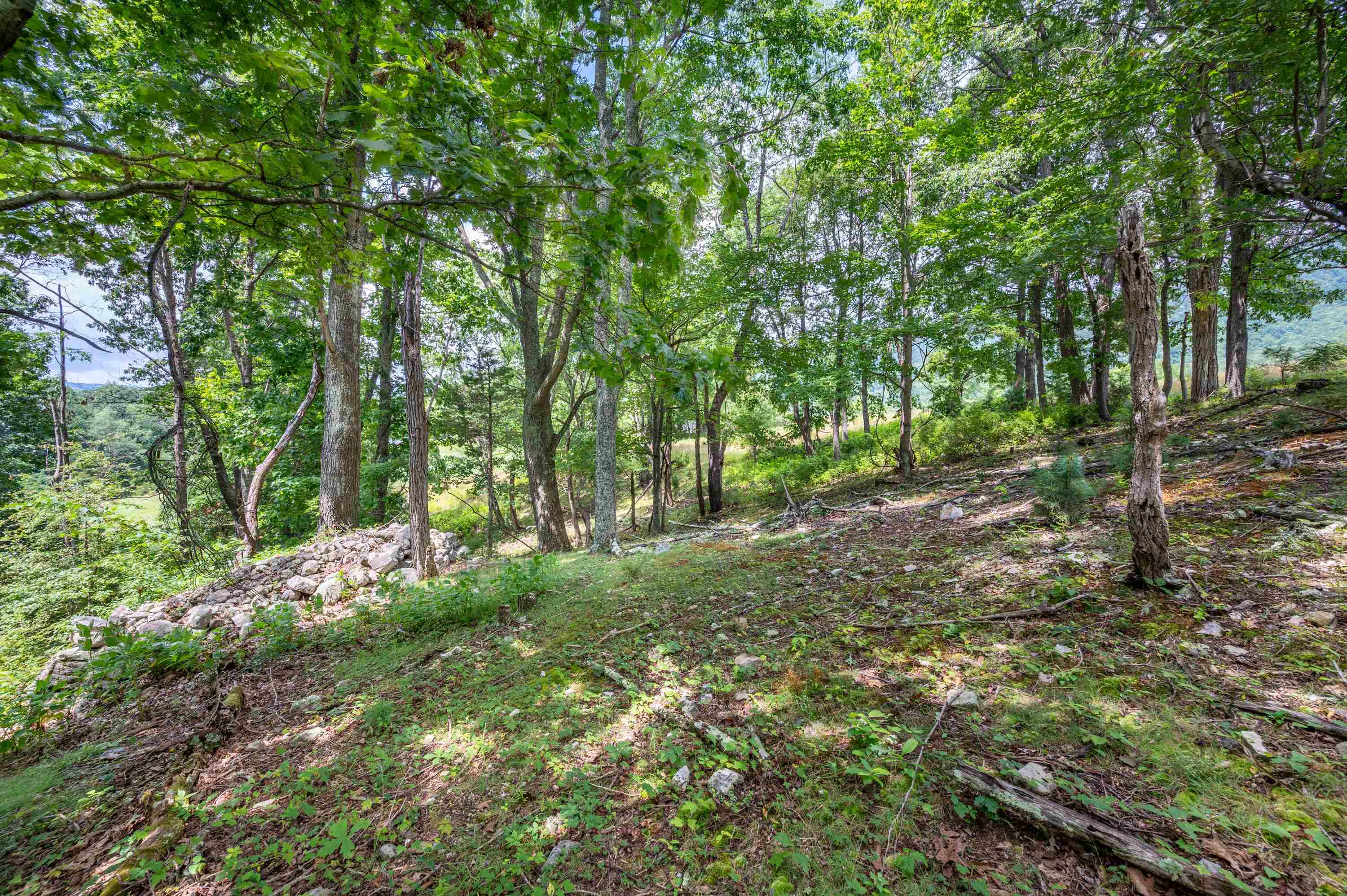 628 Wilburn Valley Road Pearisburg VA 24134