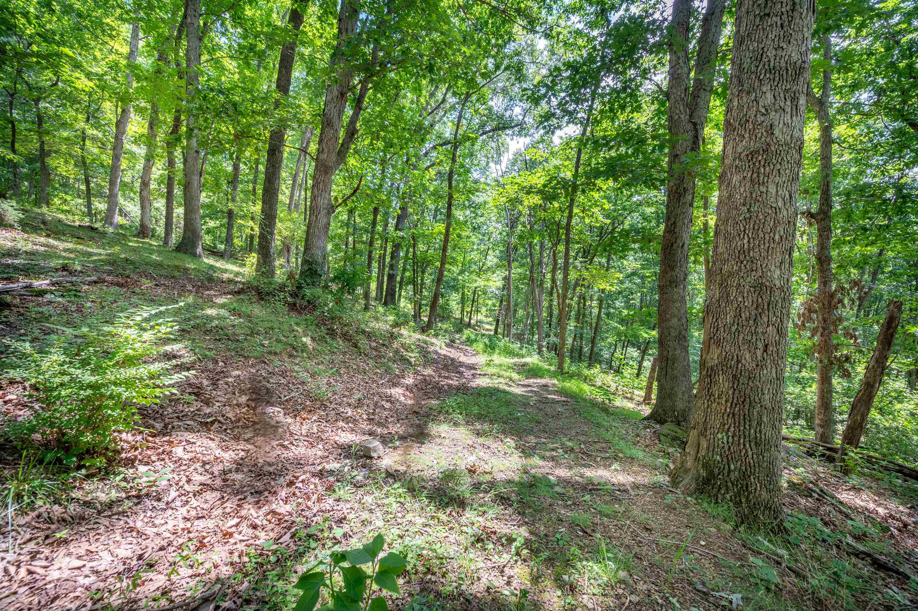 628 Wilburn Valley Road Pearisburg VA 24134