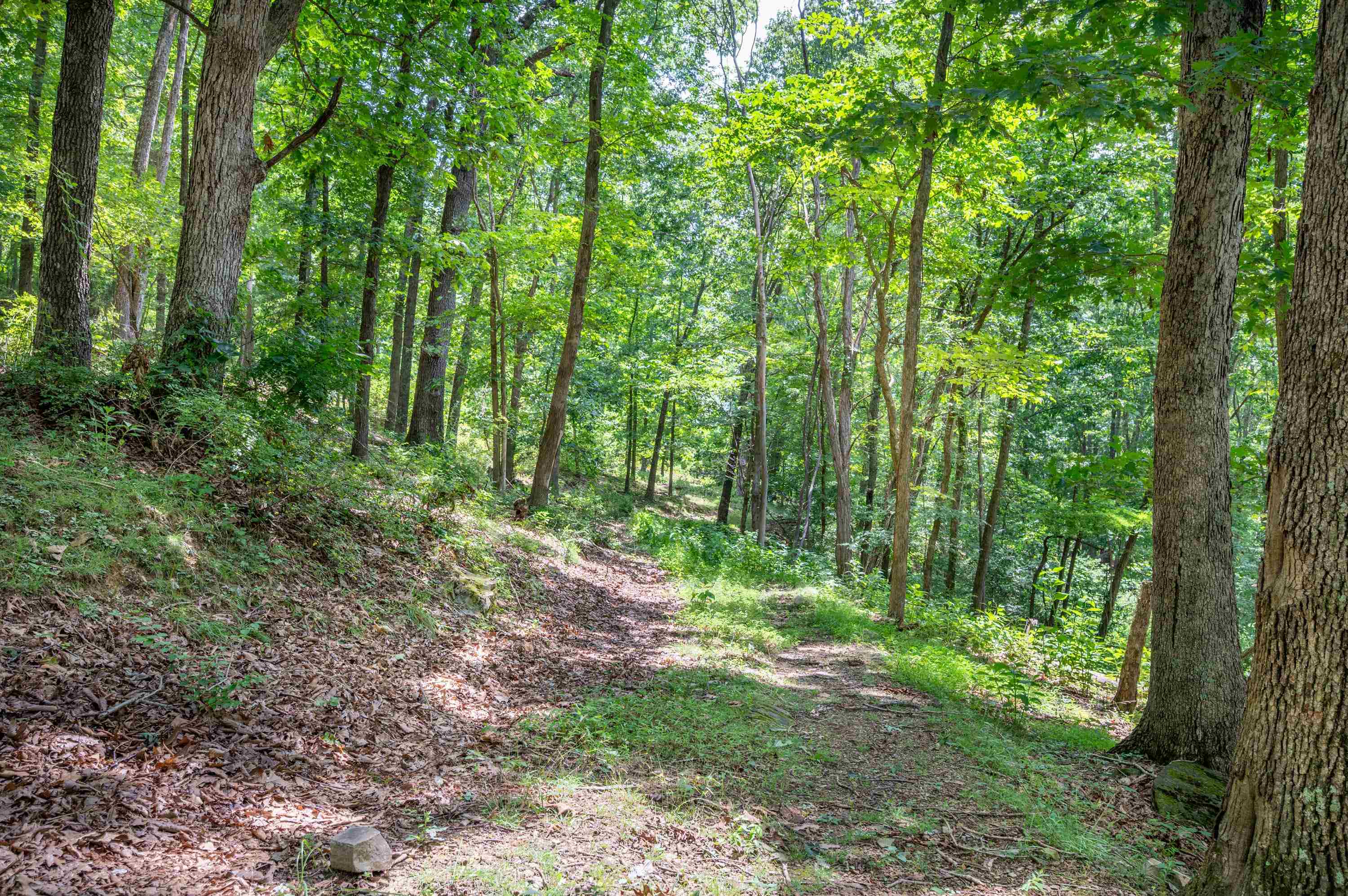 628 Wilburn Valley Road Pearisburg VA 24134