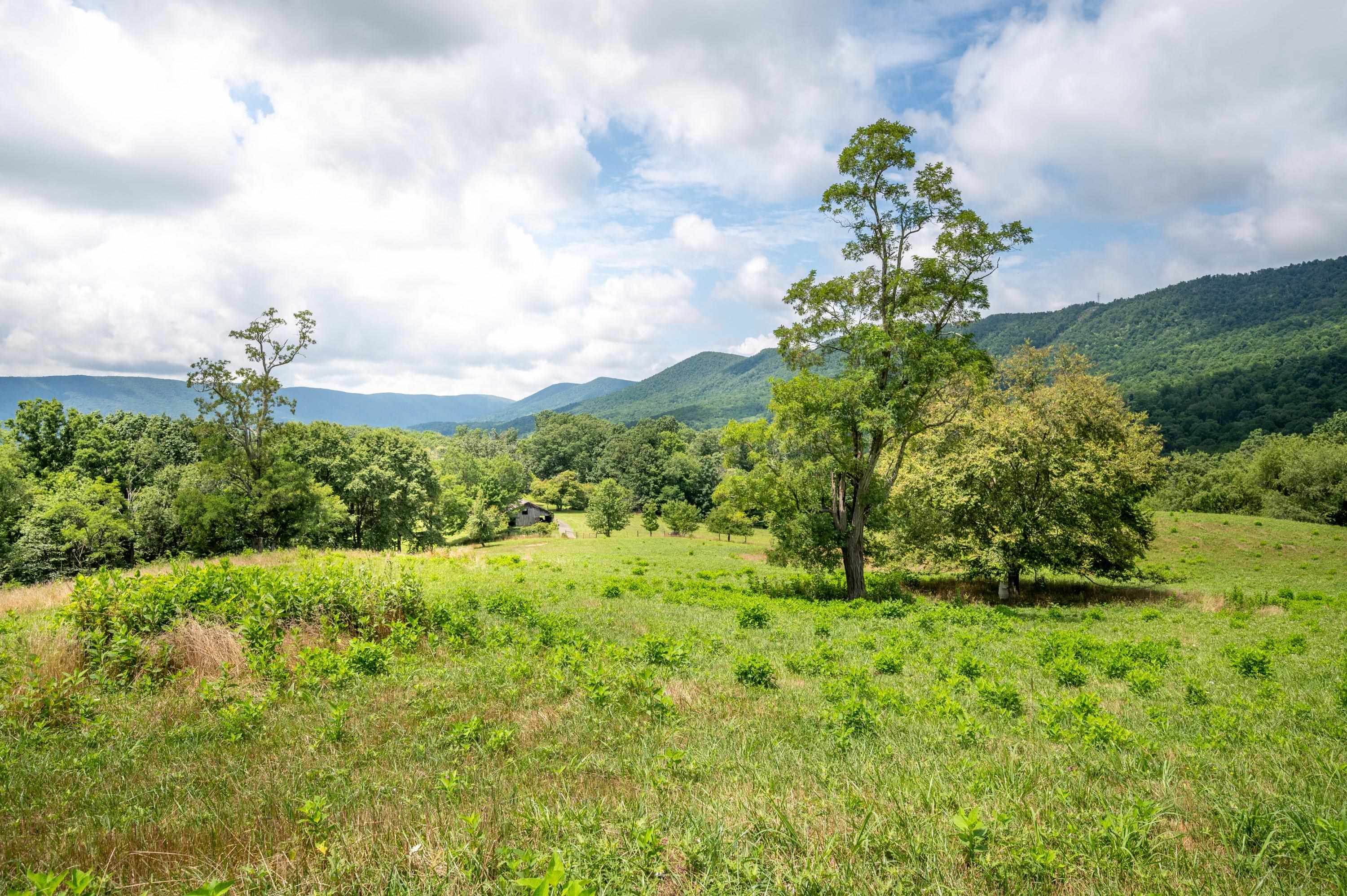 628 Wilburn Valley Road Pearisburg VA 24134