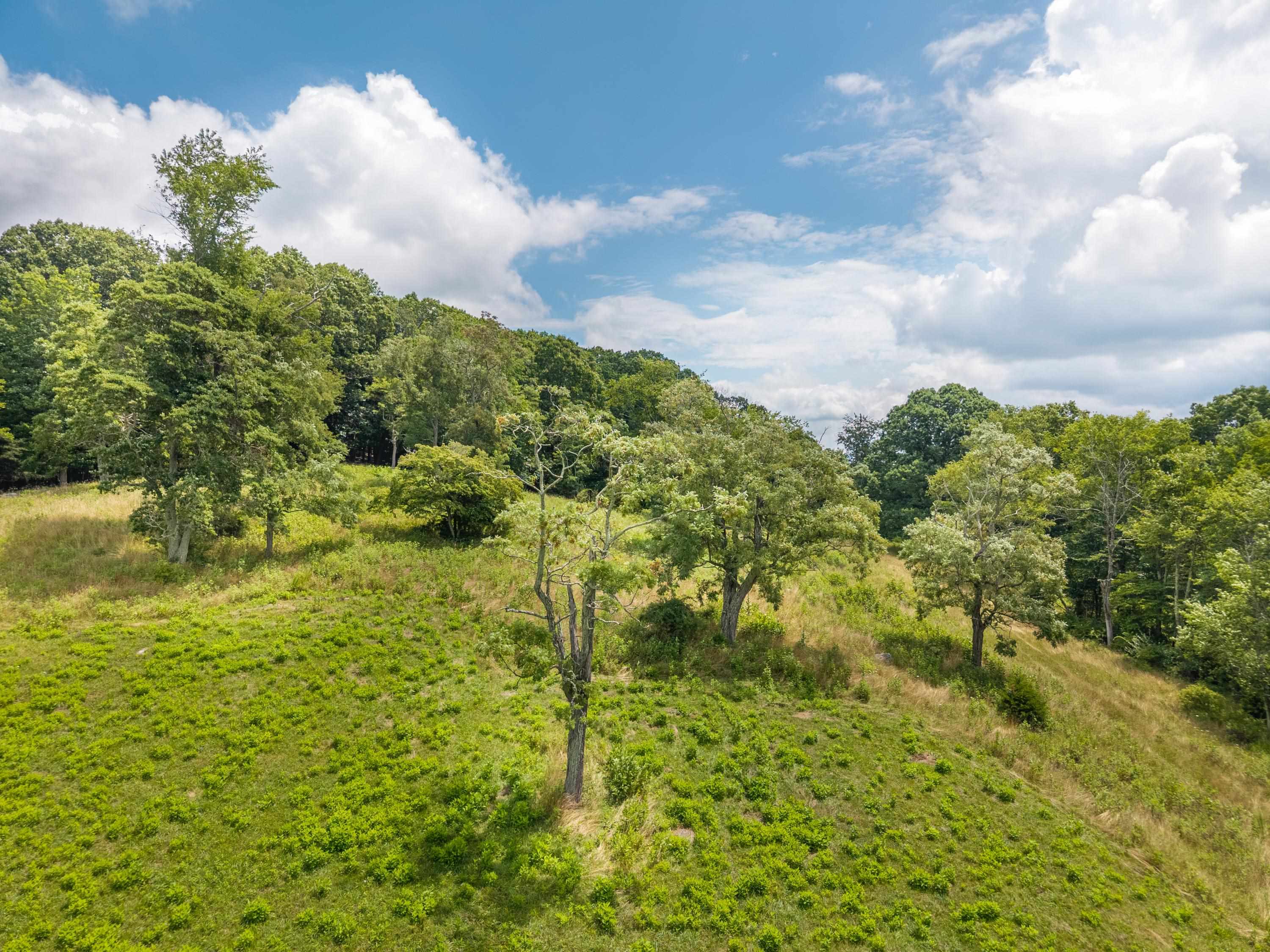 628 Wilburn Valley Road Pearisburg VA 24134