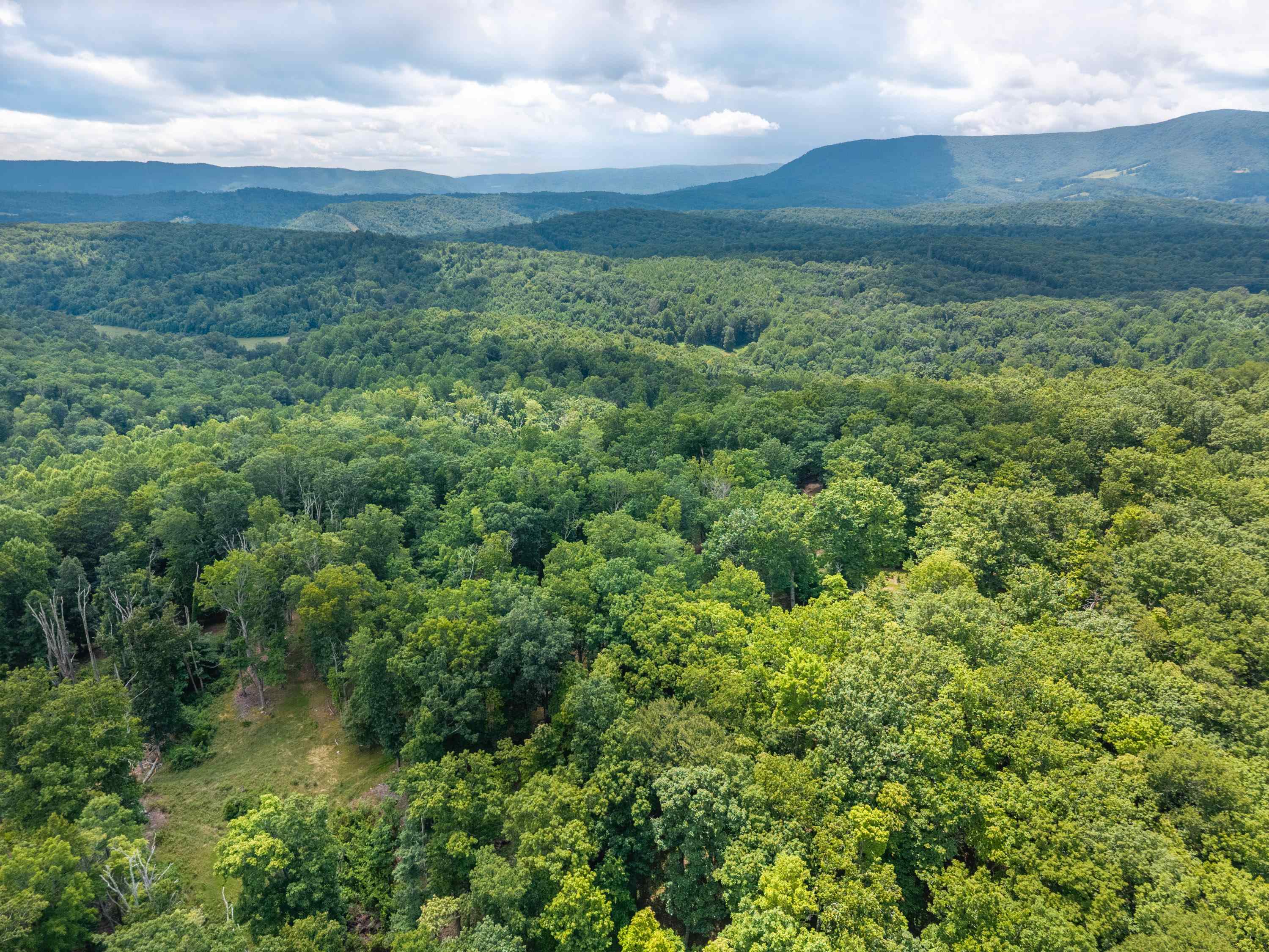 628 Wilburn Valley Road Pearisburg VA 24134