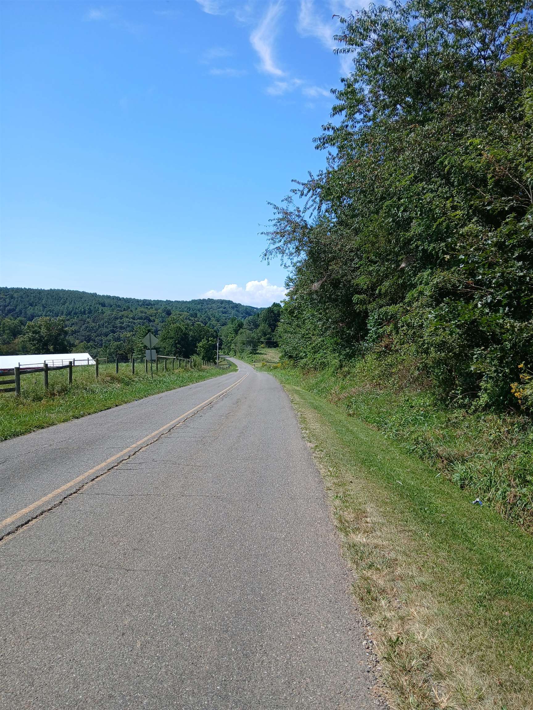 2262 Mount Zion Road Woodlawn VA 24381