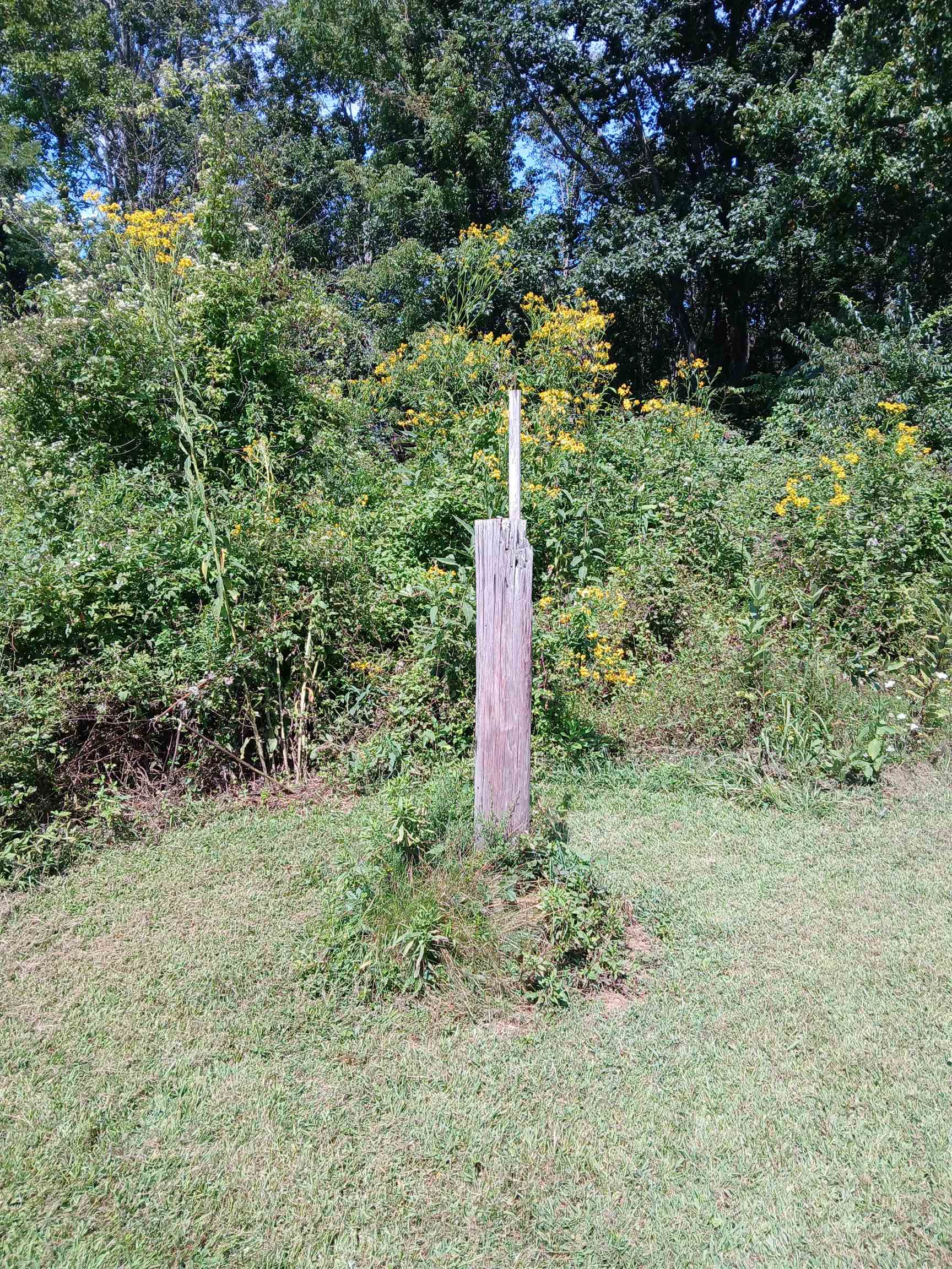 2262 Mount Zion Road Woodlawn VA 24381