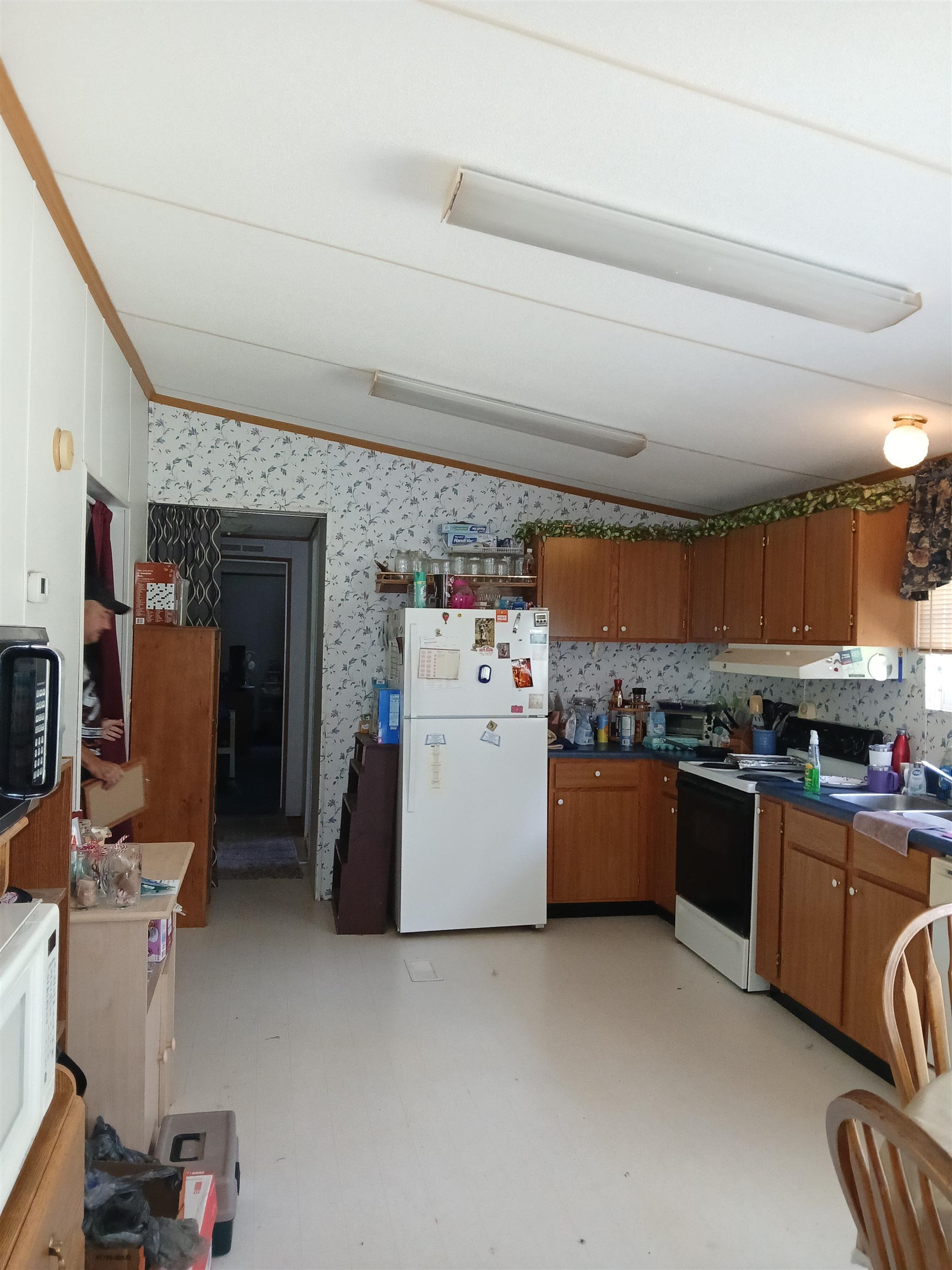 2262 Mount Zion Road Woodlawn VA 24381