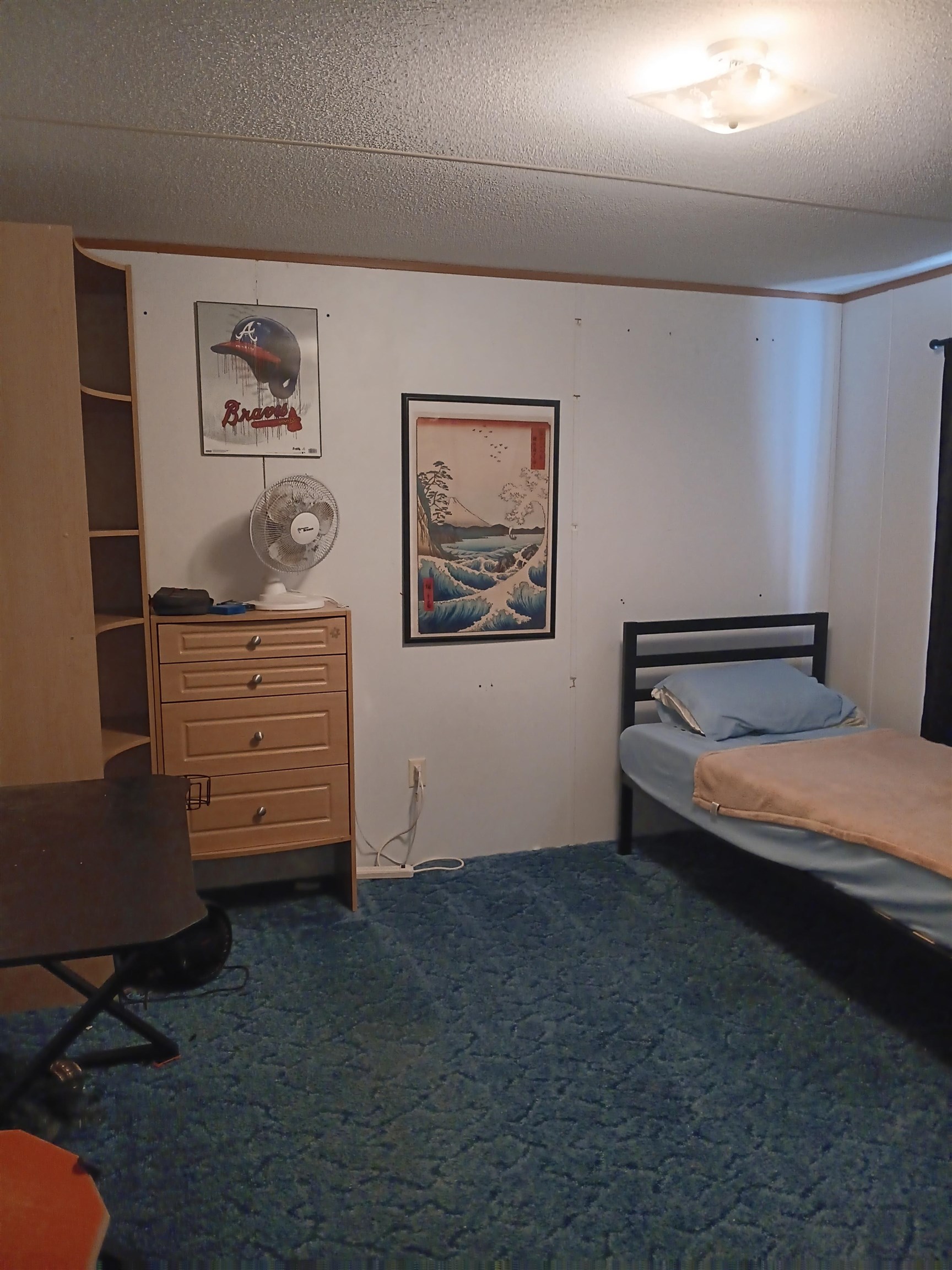 2262 Mount Zion Road Woodlawn VA 24381