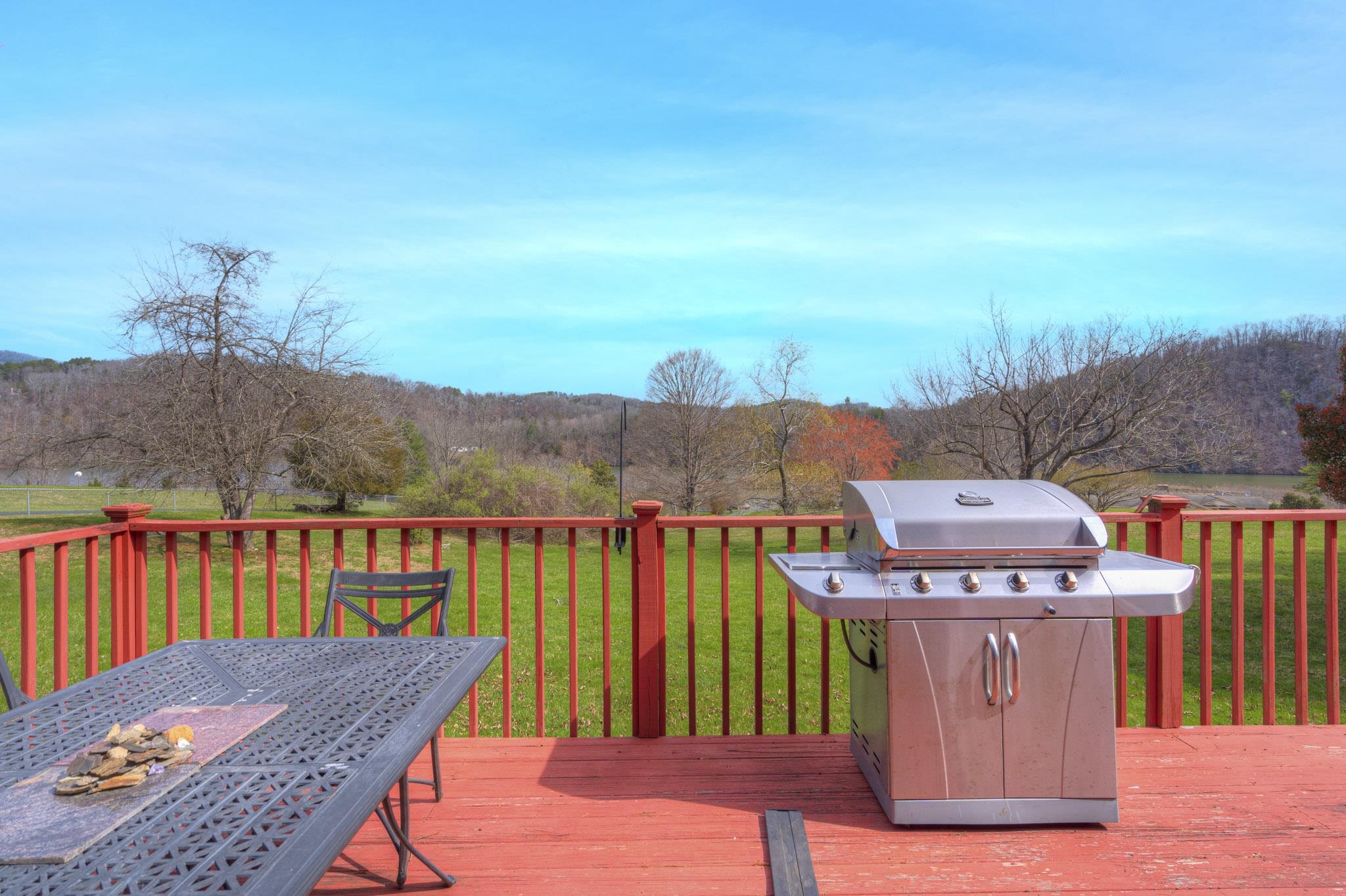 4642 Waterfront Farms Drive Draper VA 24324