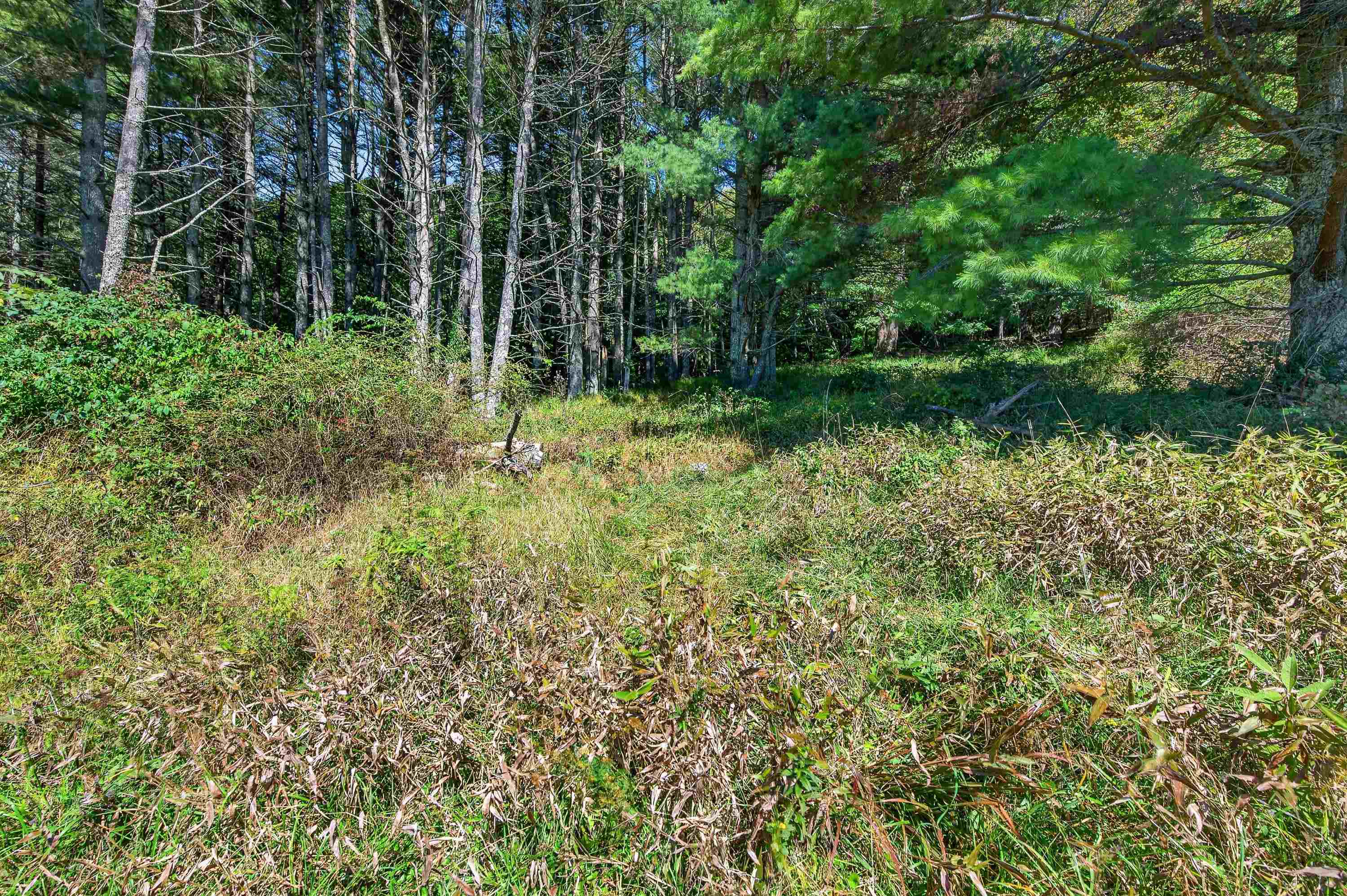 12286 Comers Rock Road Troutdale VA 24378