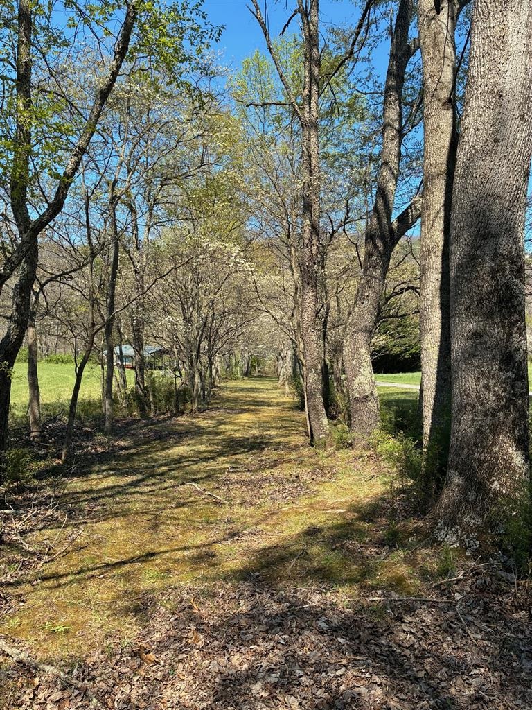 2103 Wolf Creek Road Narrows VA 24124