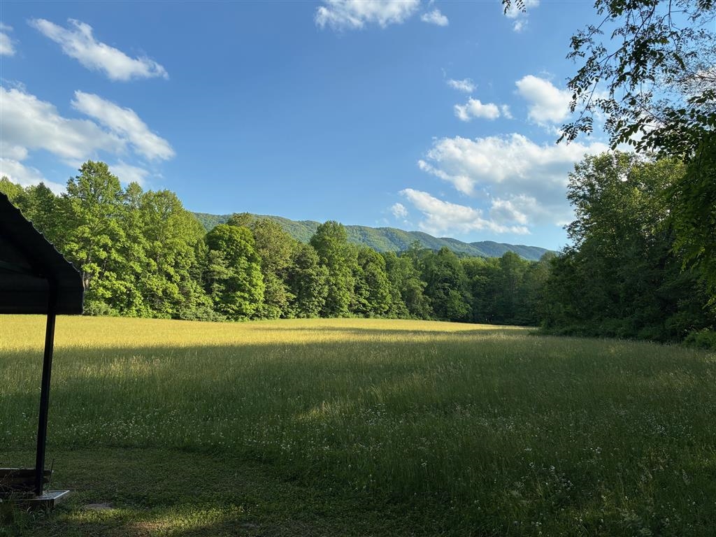 2103 Wolf Creek Road Narrows VA 24124