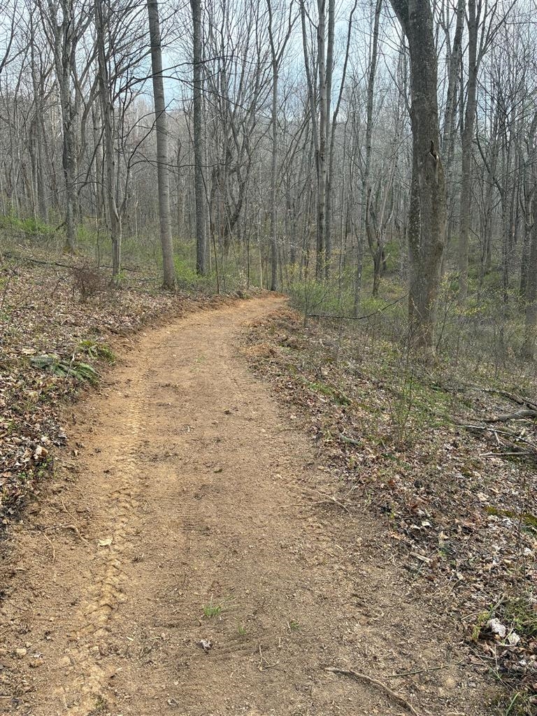 2103 Wolf Creek Road Narrows VA 24124