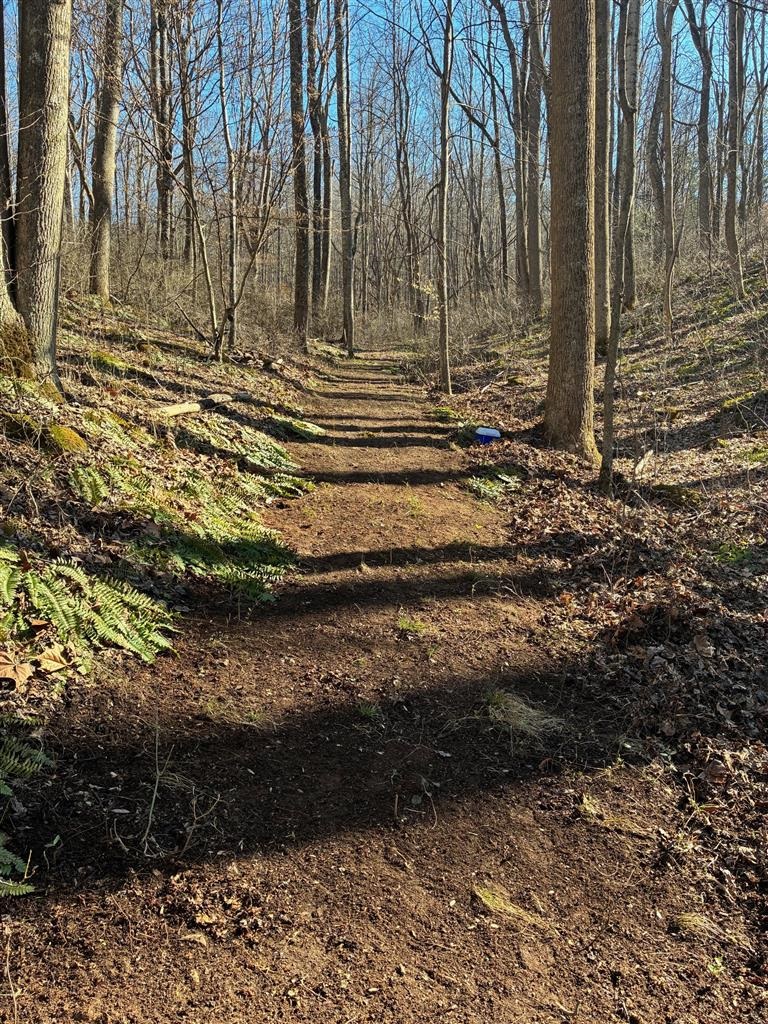2103 Wolf Creek Road Narrows VA 24124
