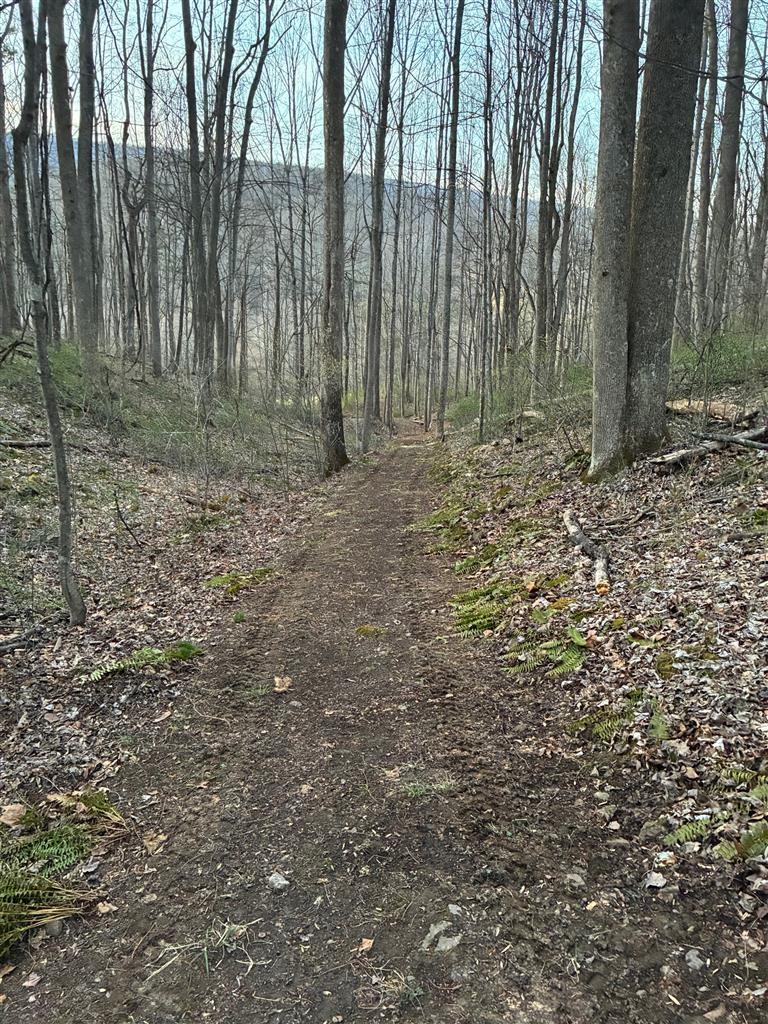 2103 Wolf Creek Road Narrows VA 24124