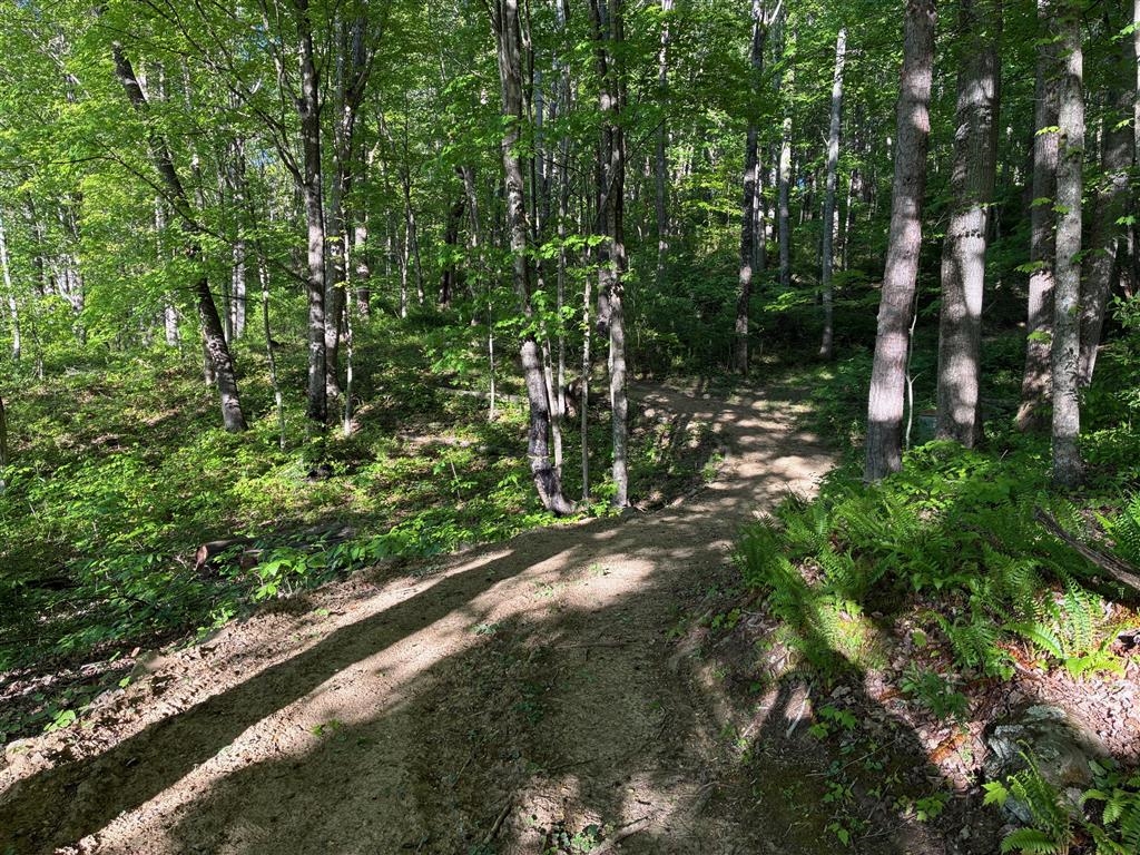 2103 Wolf Creek Road Narrows VA 24124