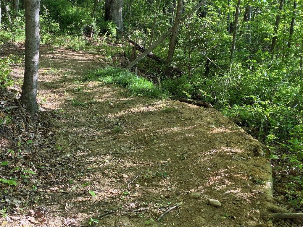 2103 Wolf Creek Road Narrows VA 24124