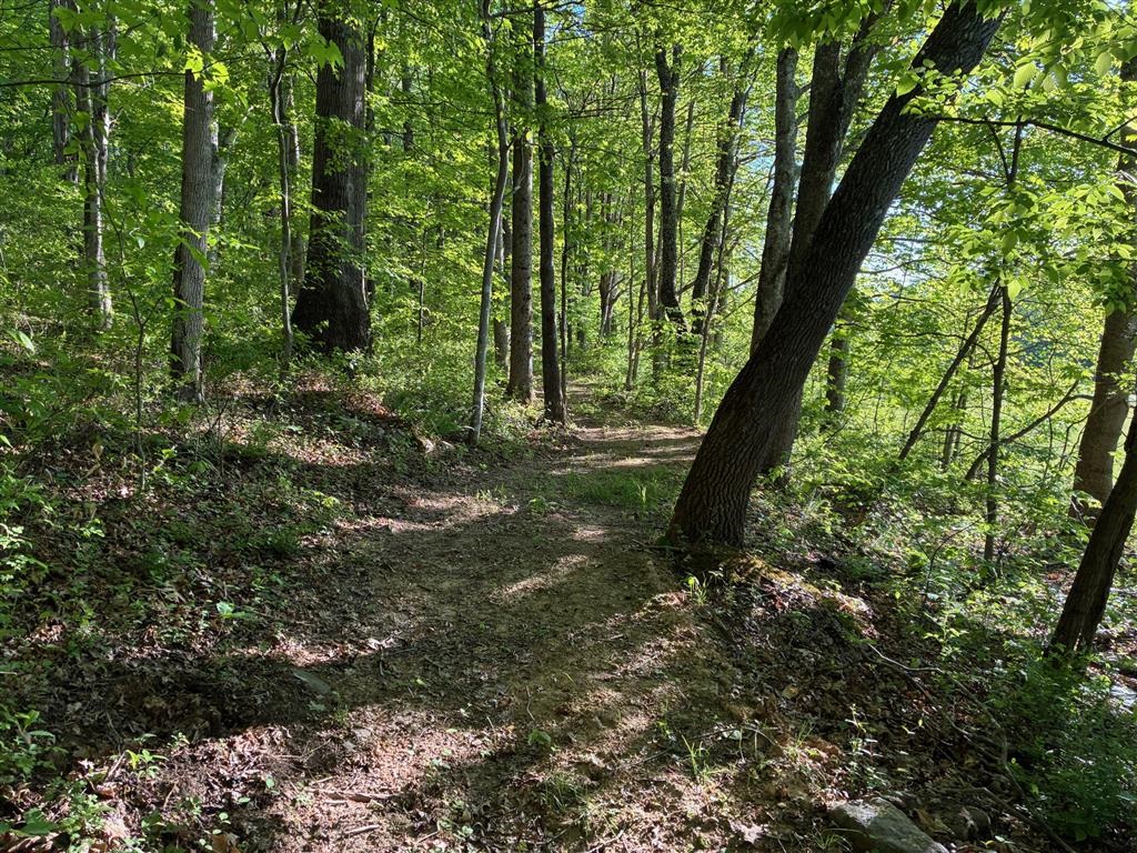 2103 Wolf Creek Road Narrows VA 24124