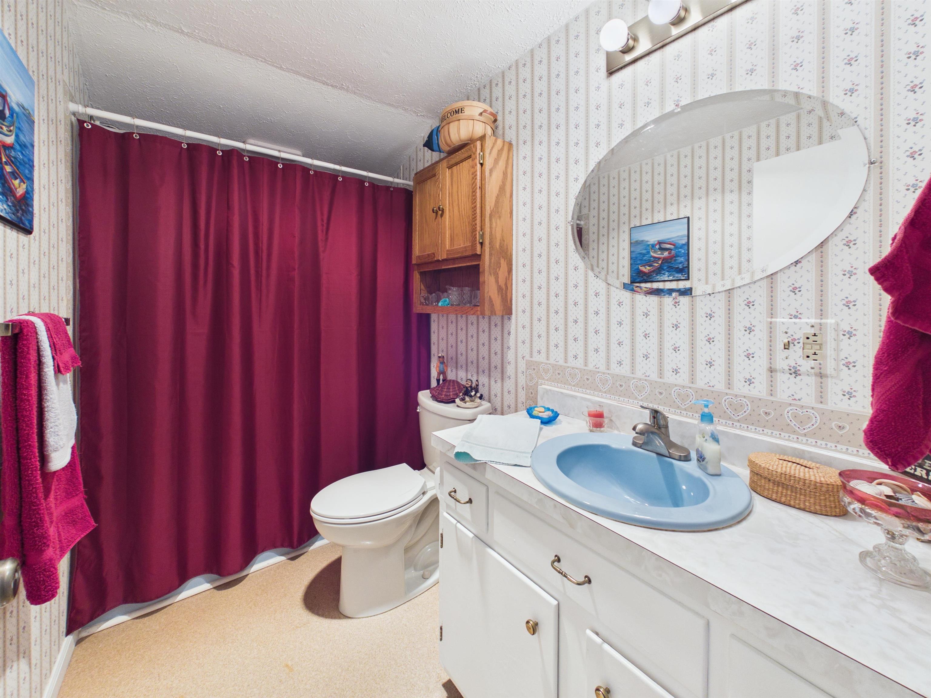 4838 Barton Drive Dublin VA 24084