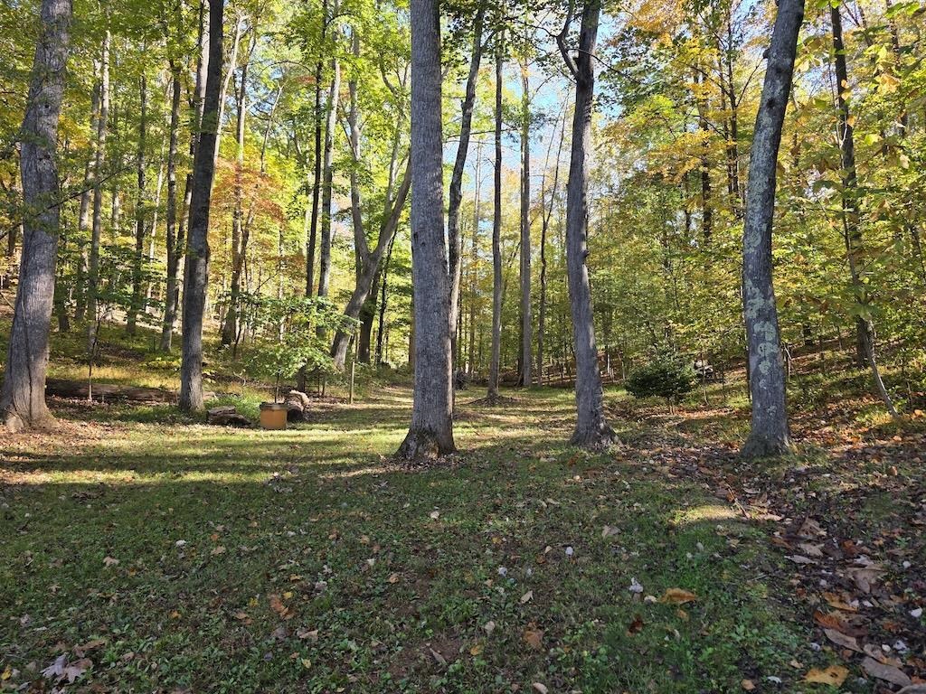 4420 Woolwine Highway Stuart VA 24171