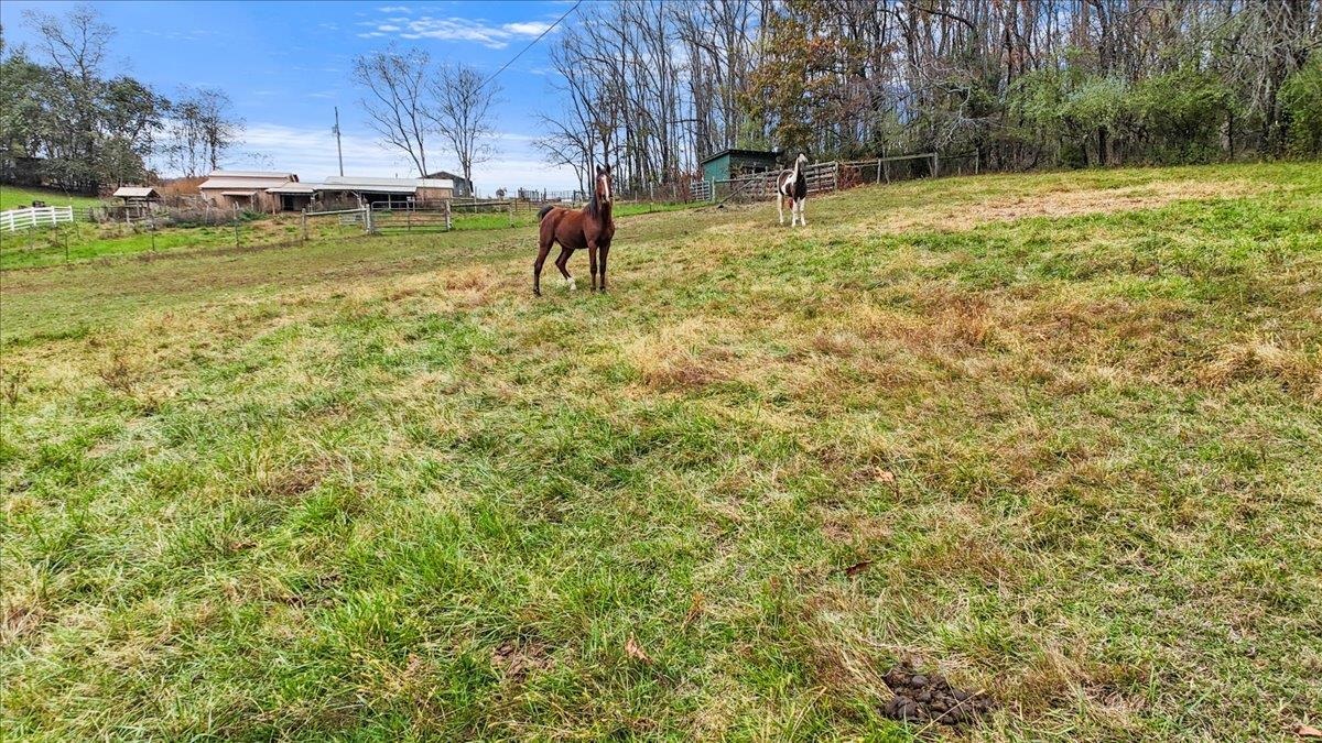 160 Cardova Drive Max Meadows VA 24360