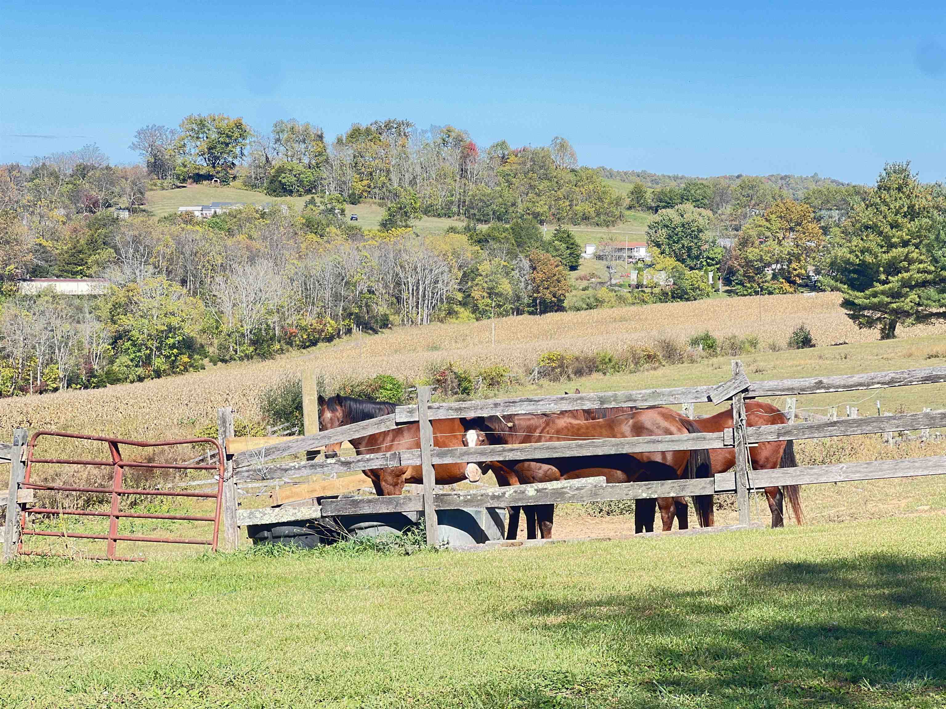2616 Pope Roads Ivanhoe VA 24350