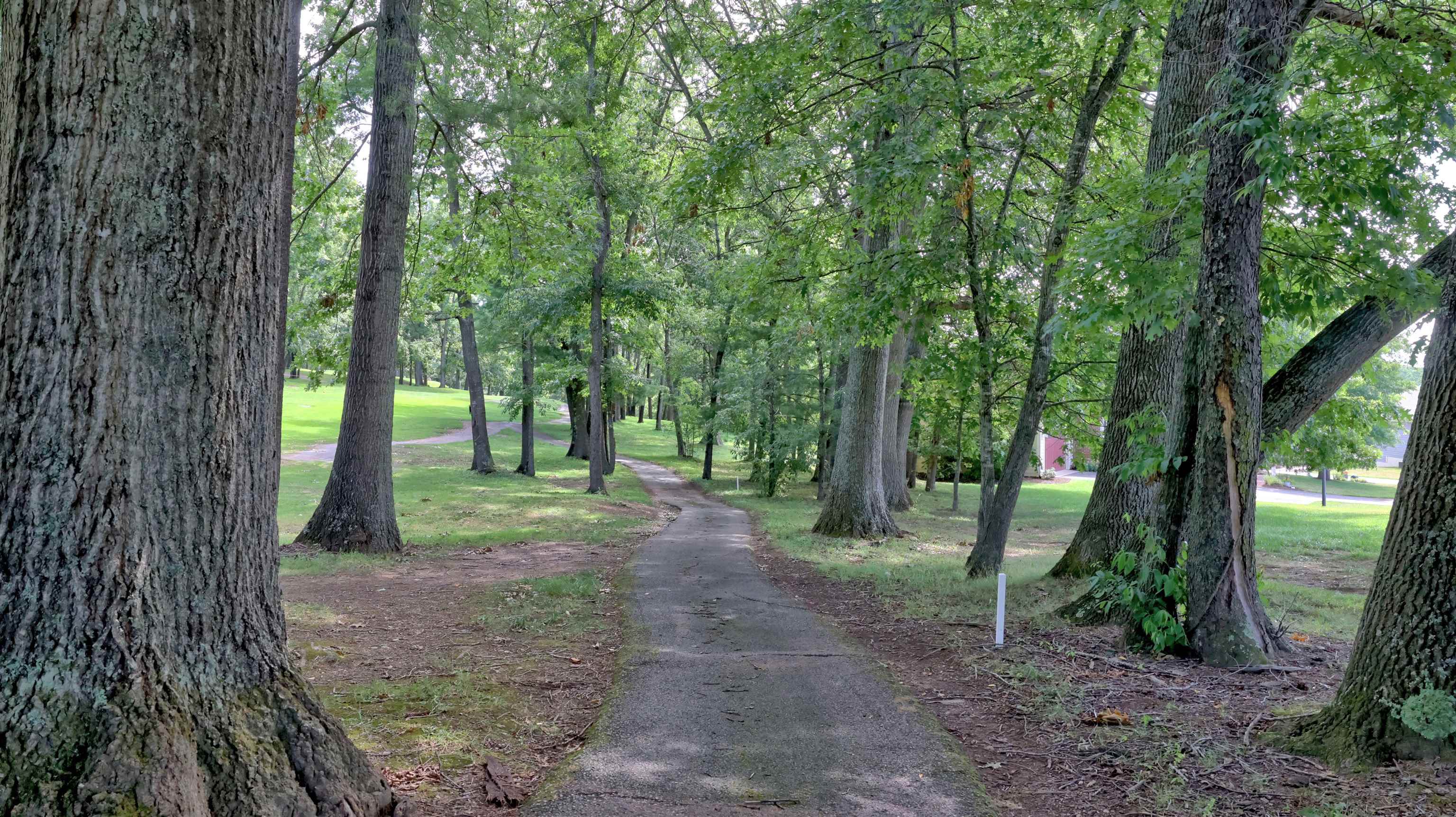 3810 Fairway View Drive Riner VA 24149