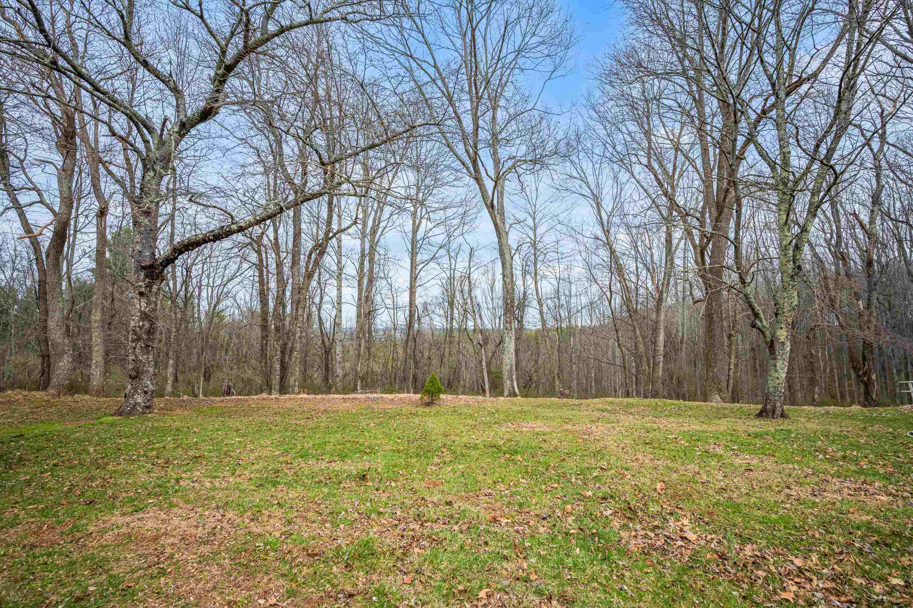 216 & 218 Penn Road Floyd VA 24091