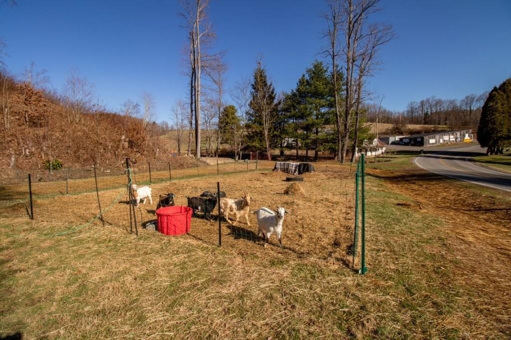 5665 Chances Creek Road Fancy Gap VA 24328