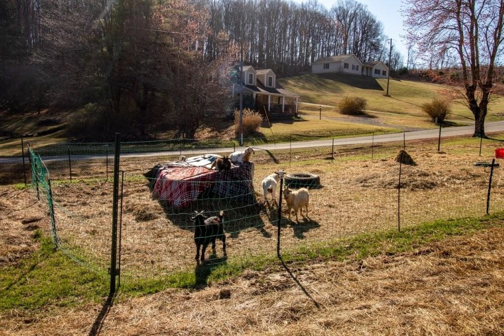 5665 Chances Creek Road Fancy Gap VA 24328