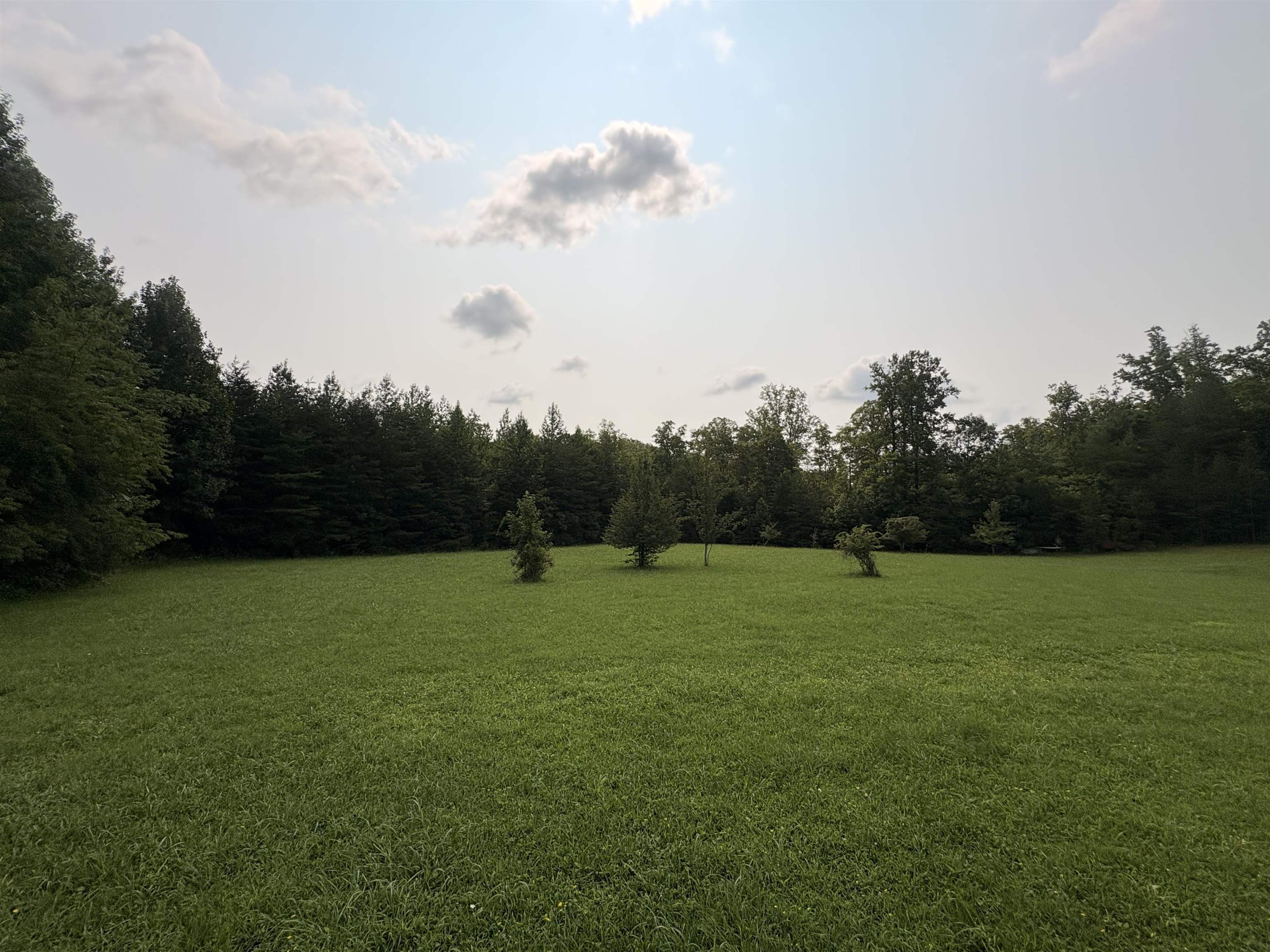 263 Holly Grove Road Lambsburg VA 24351