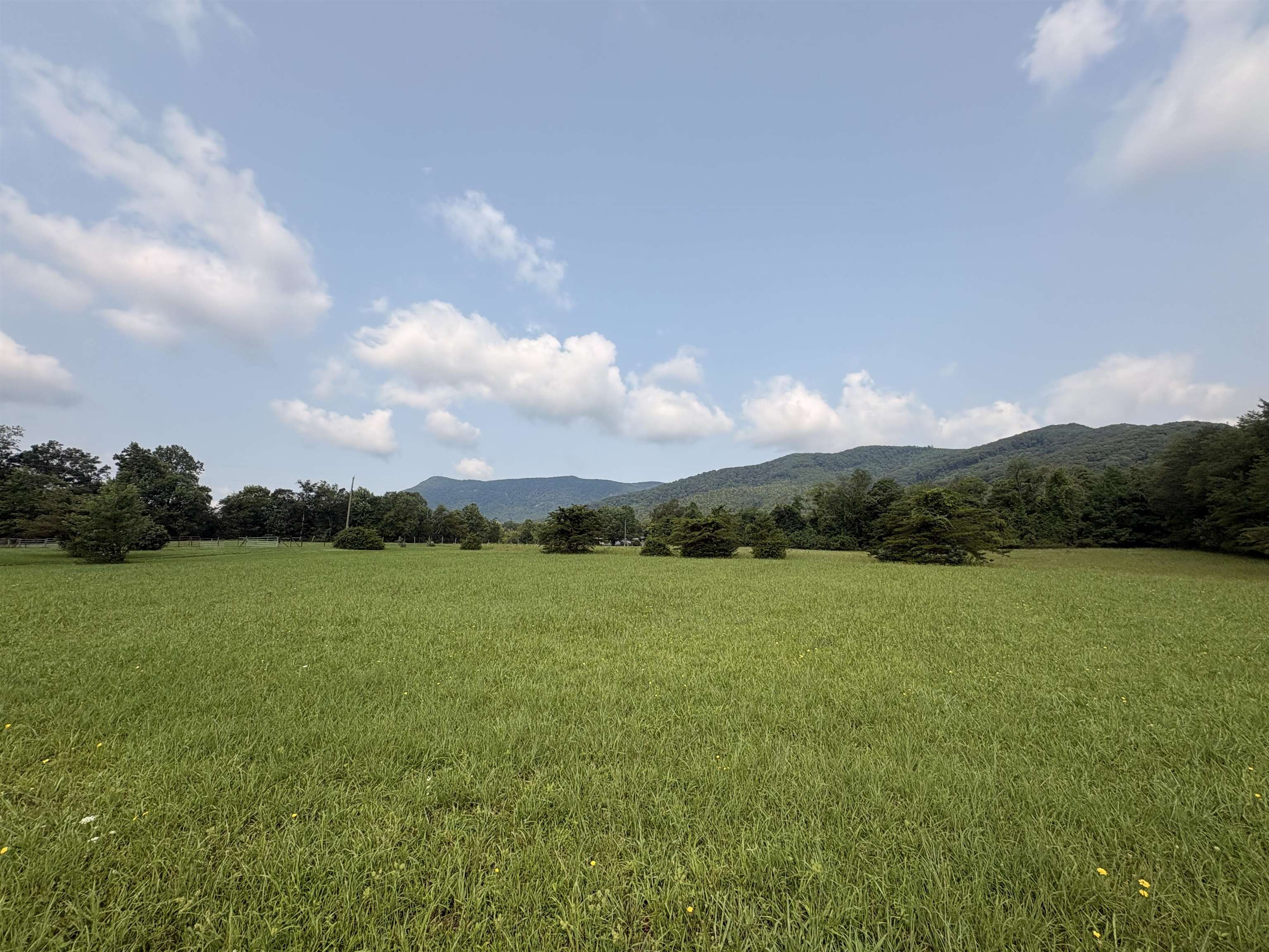 263 Holly Grove Road Lambsburg VA 24351