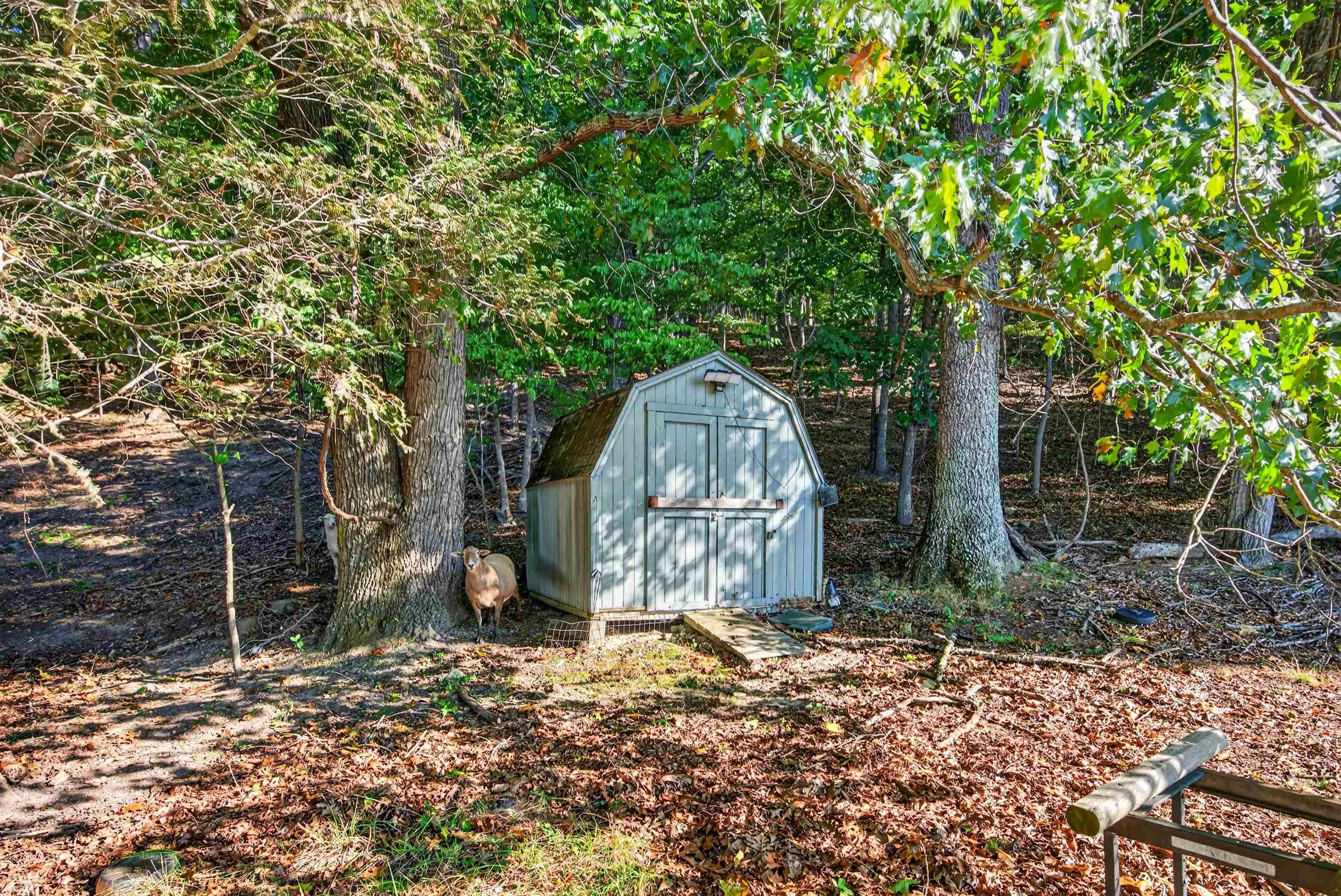 403 Wright Mountain Drive Bland VA 24315