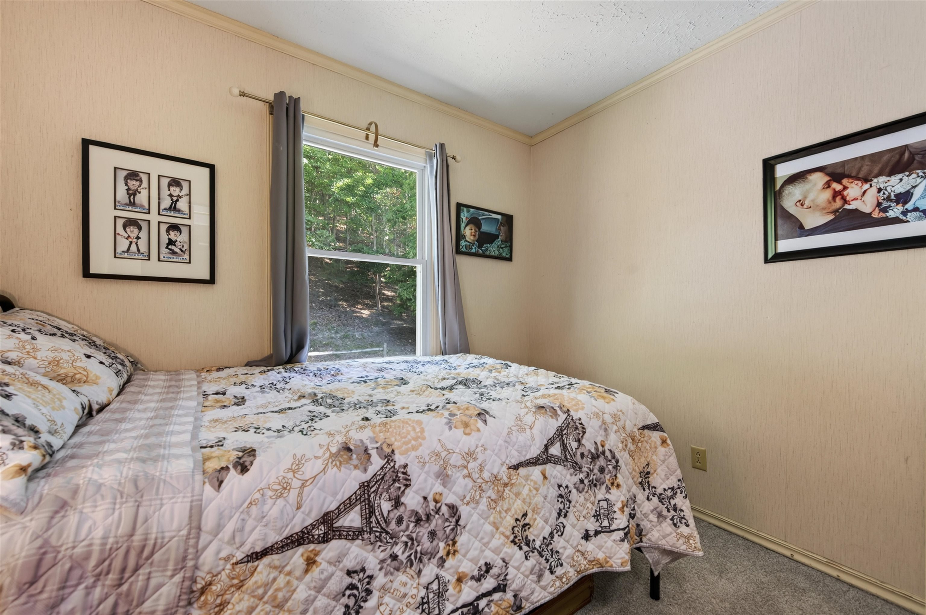 403 Wright Mountain Drive Bland VA 24315